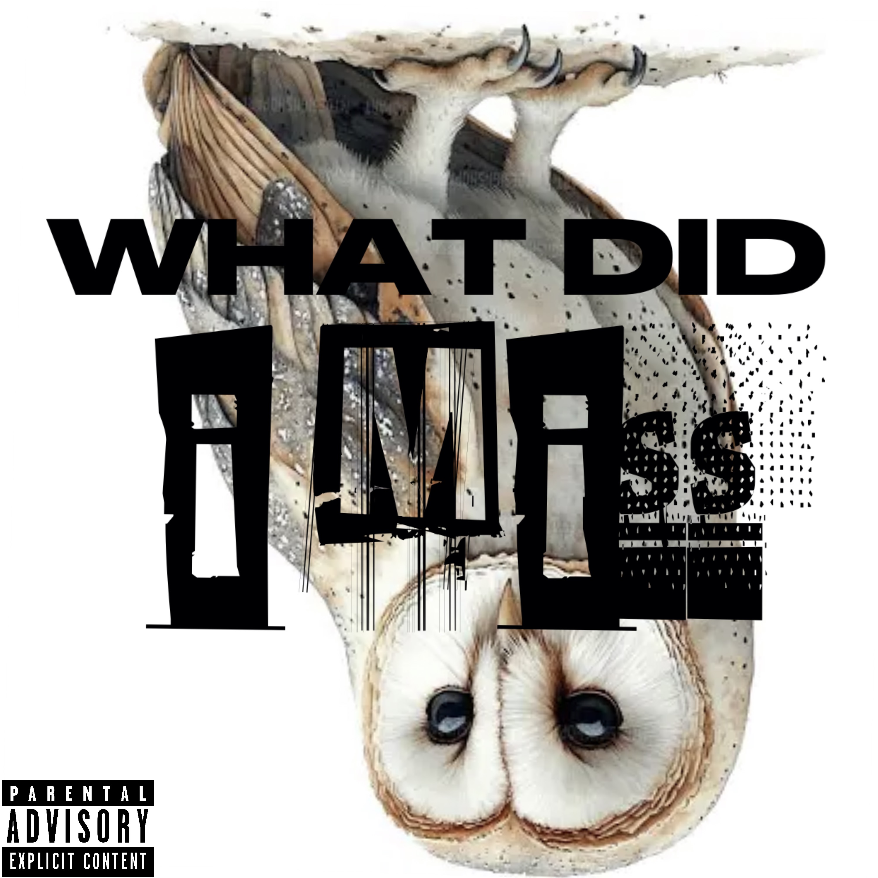 WHAT DID I MISS artwork