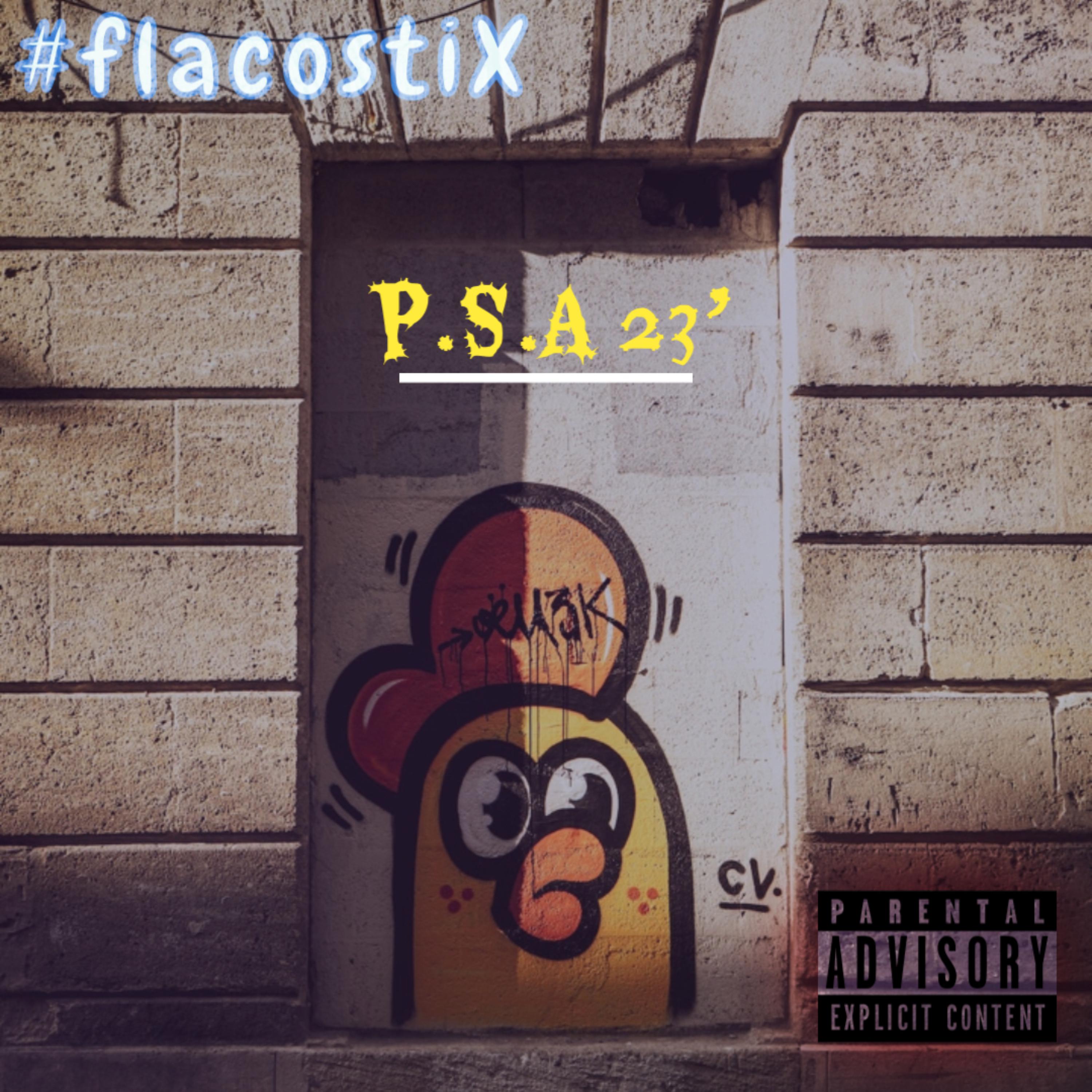 P.S.A 23' artwork