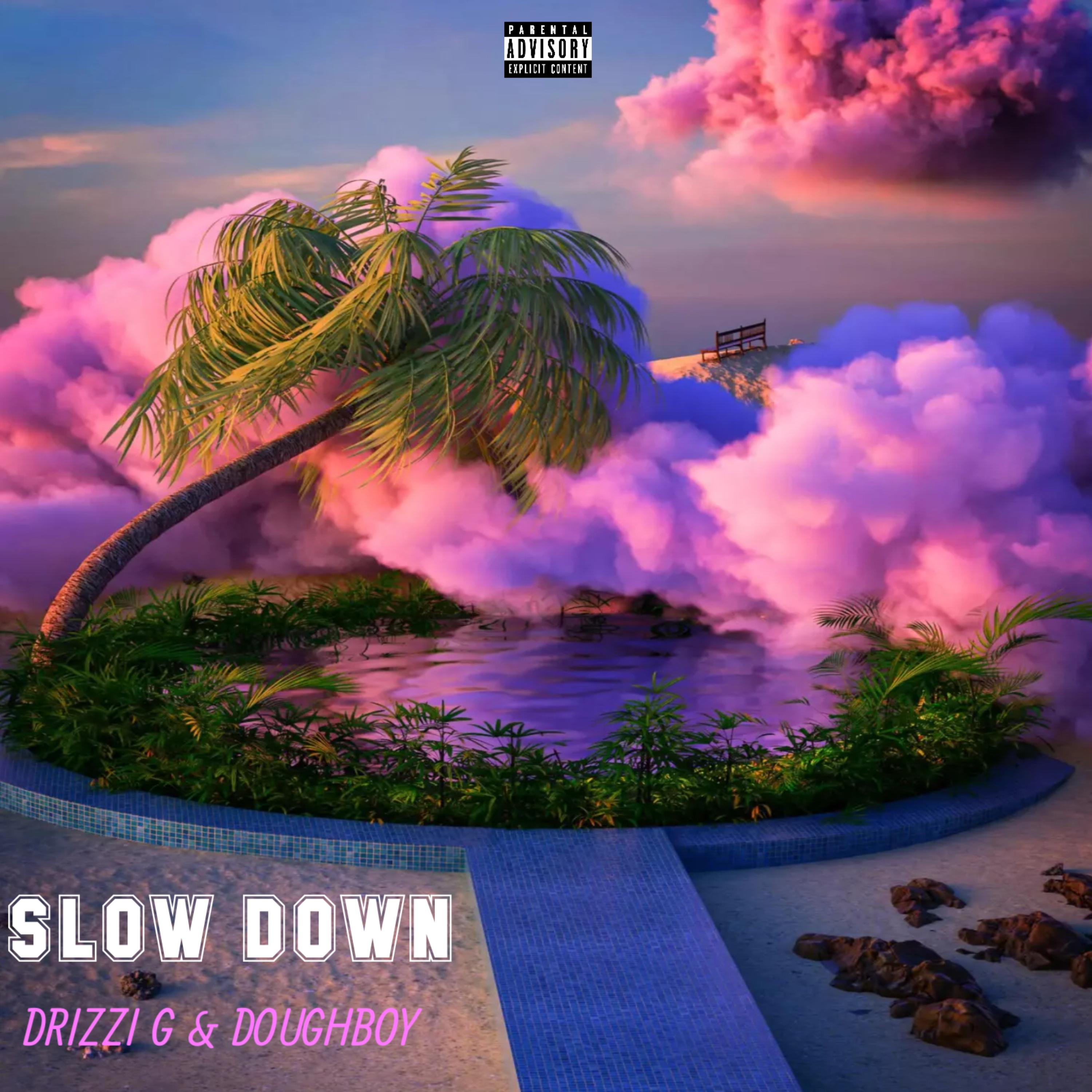 SLOW DOWN by Drizzi G cover art
