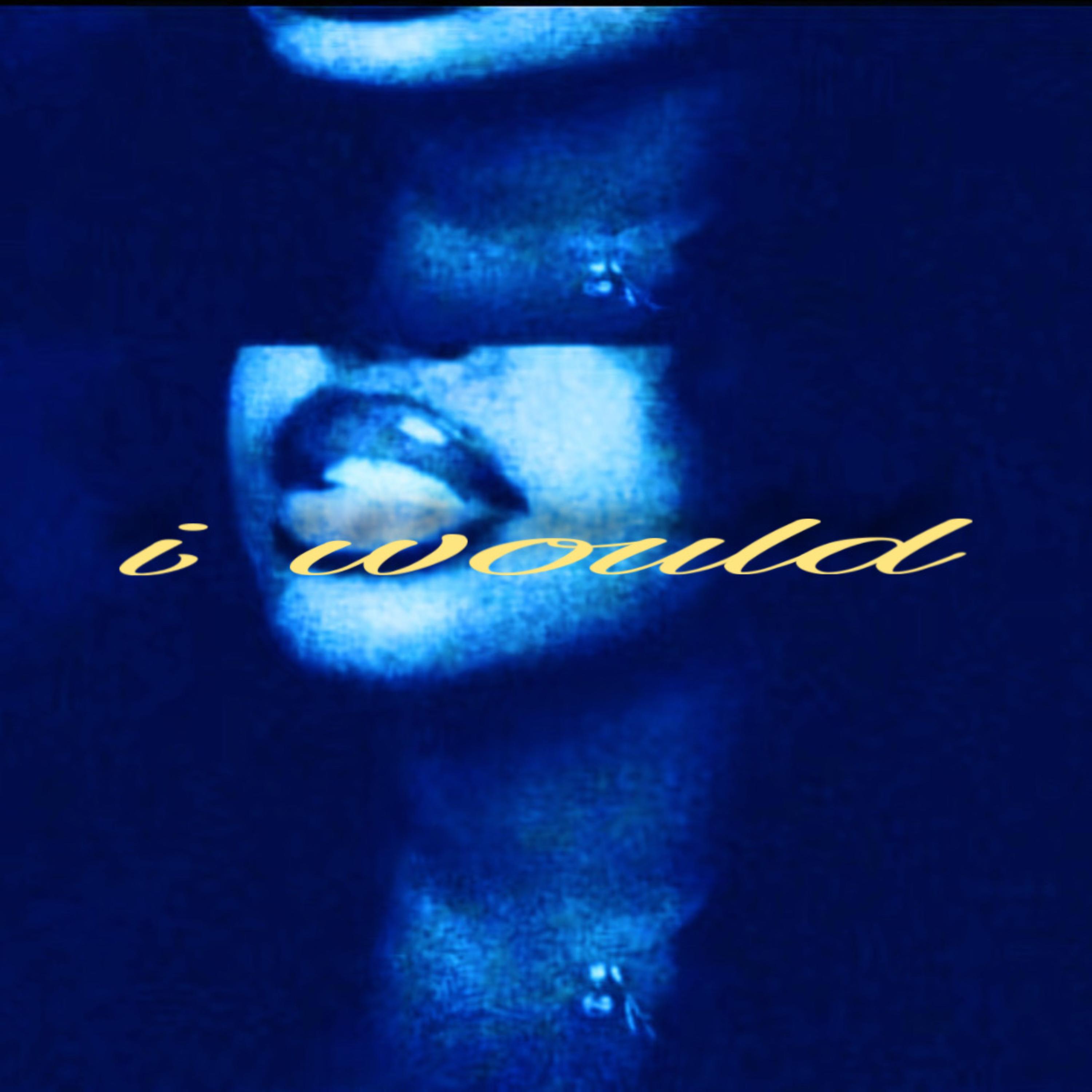 i would by PDC cover art