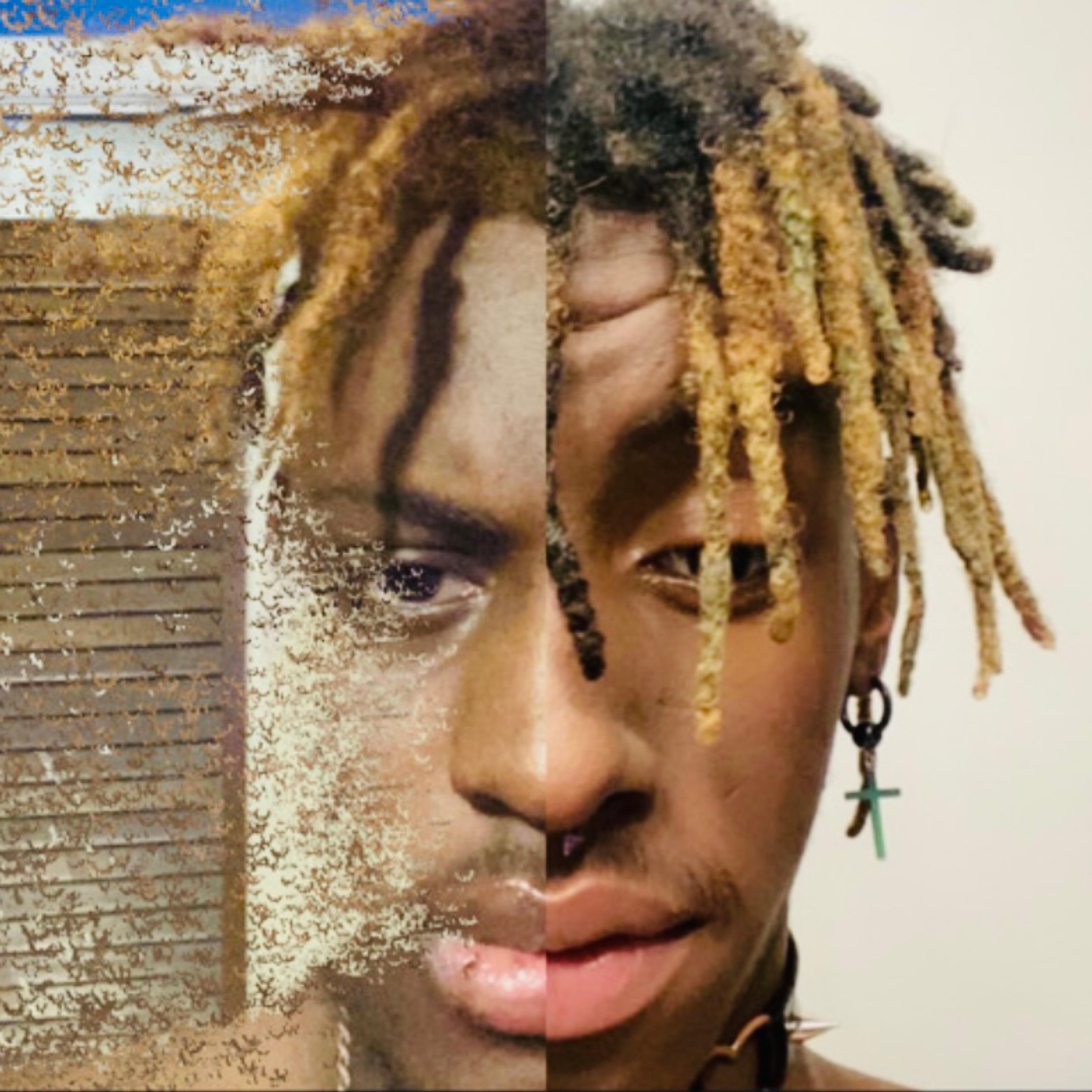 Revenge artwork