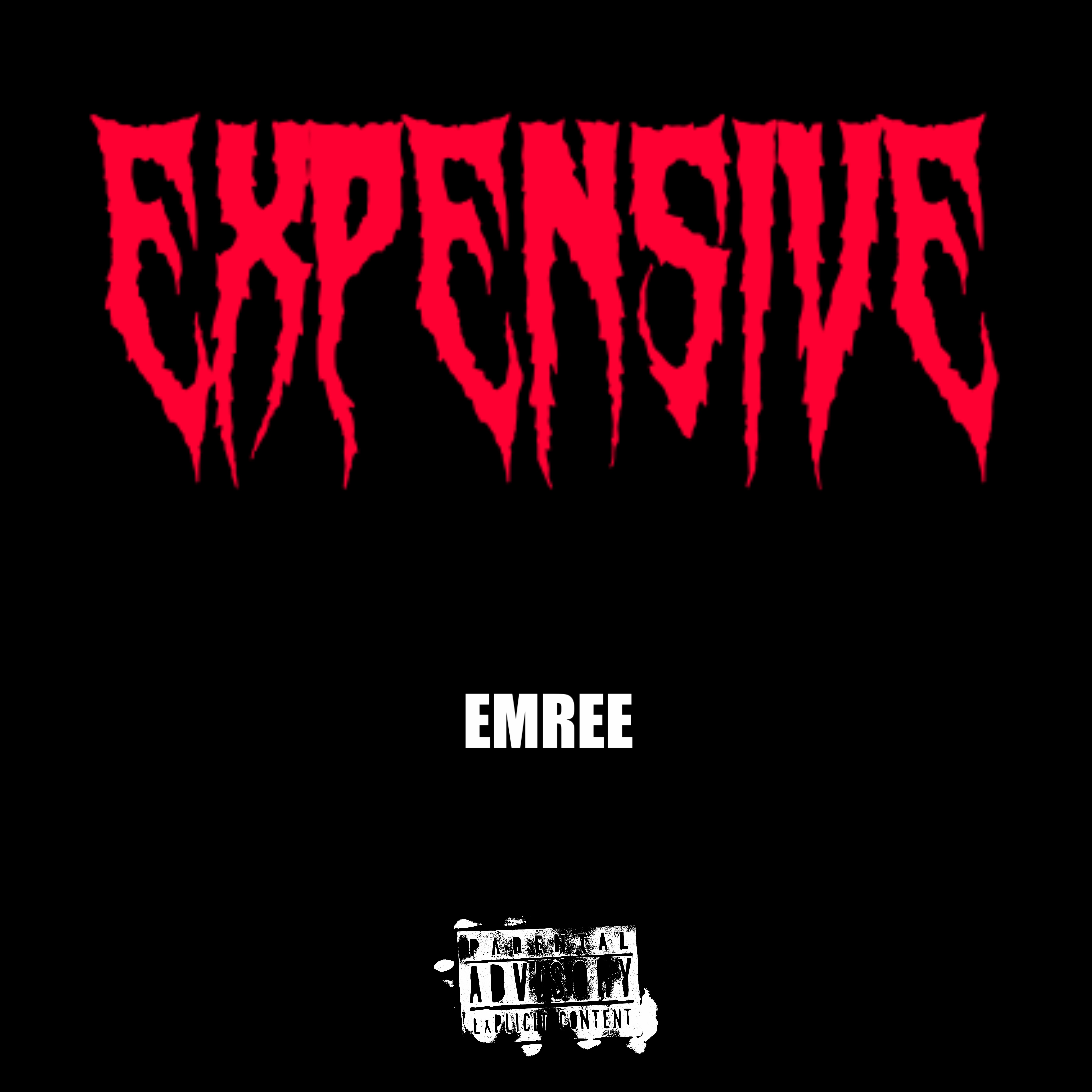 EXPEN$IVE artwork