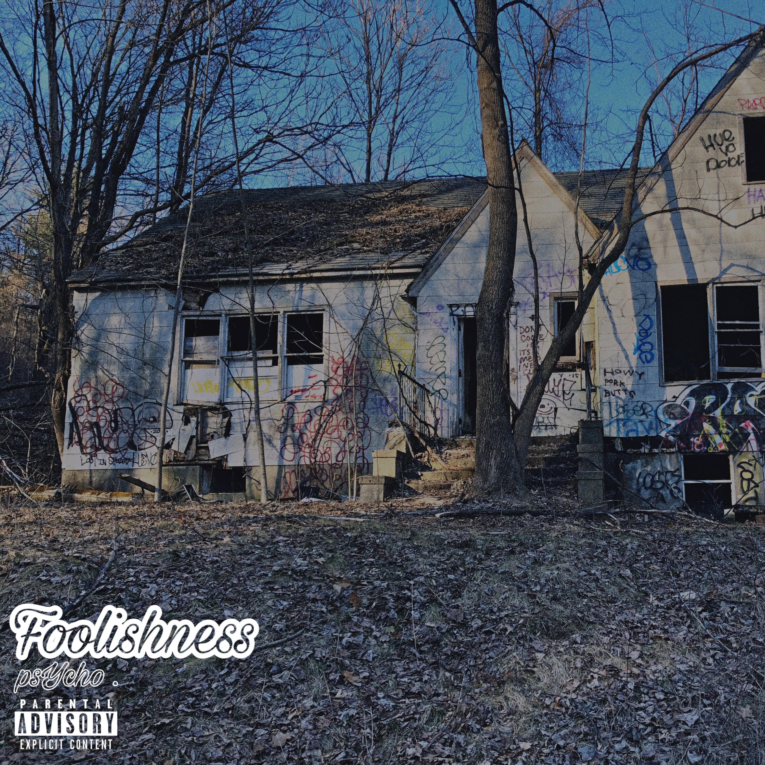 Foolishness artwork
