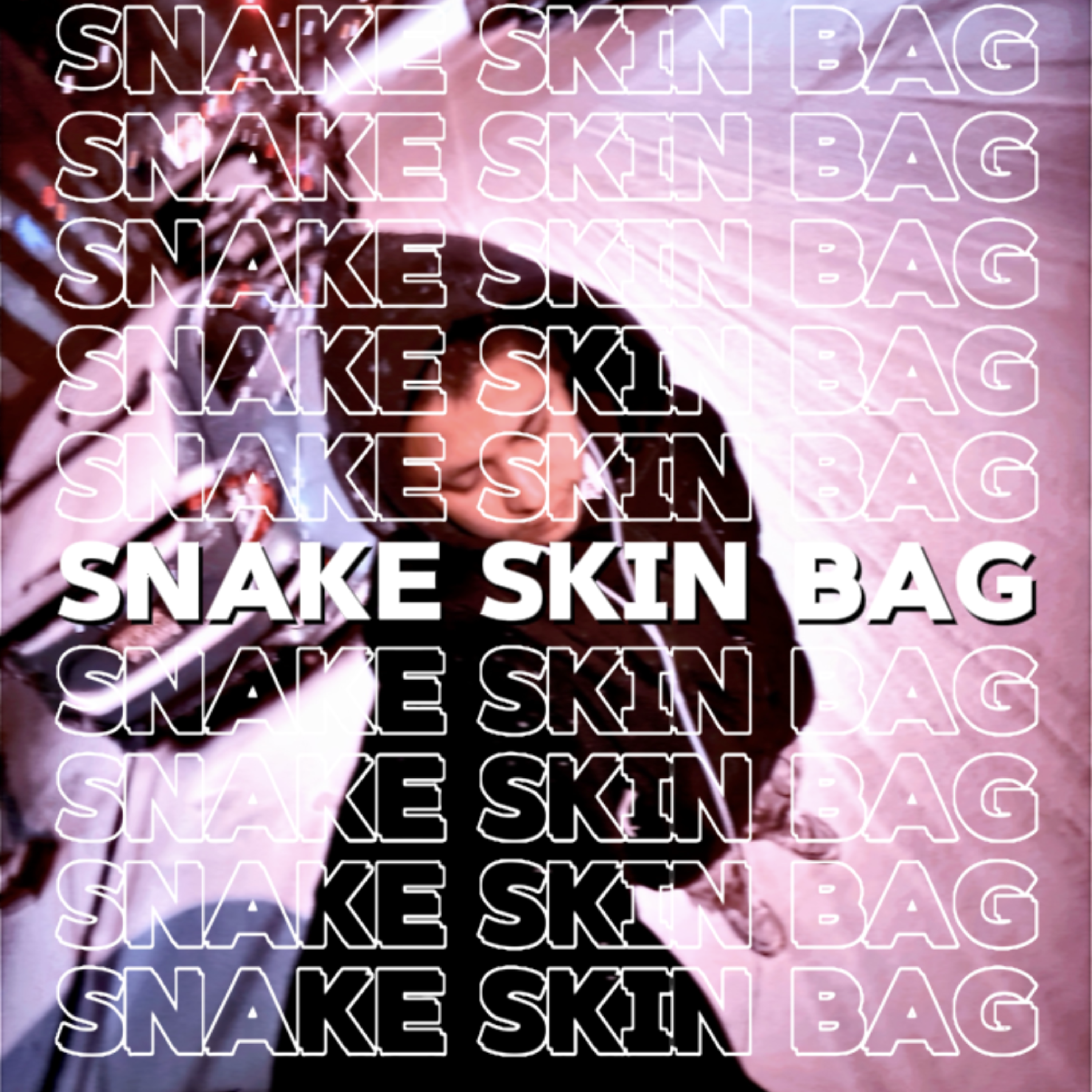 SNAKE SKIN BAG! artwork