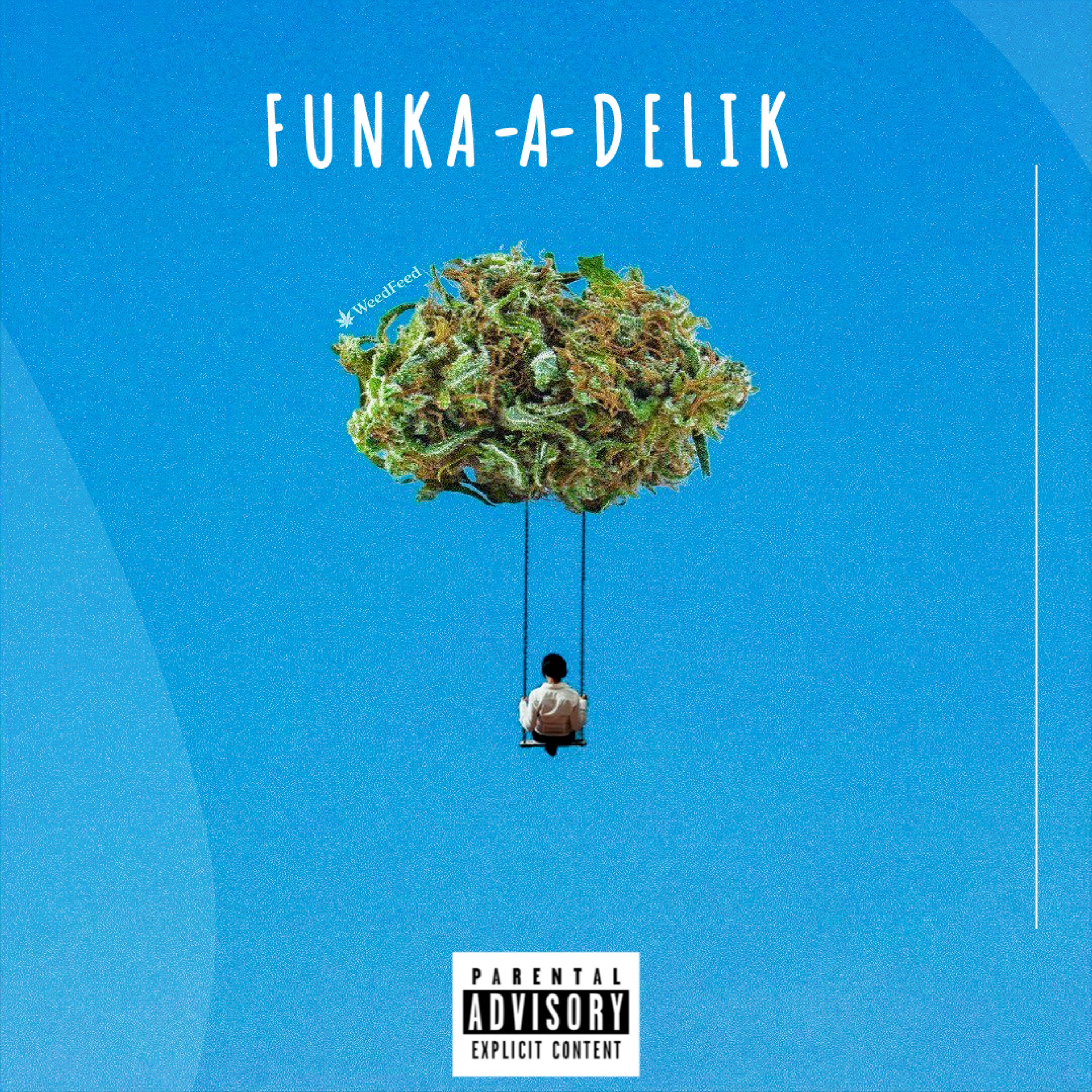 FUNK-A-DELIK artwork
