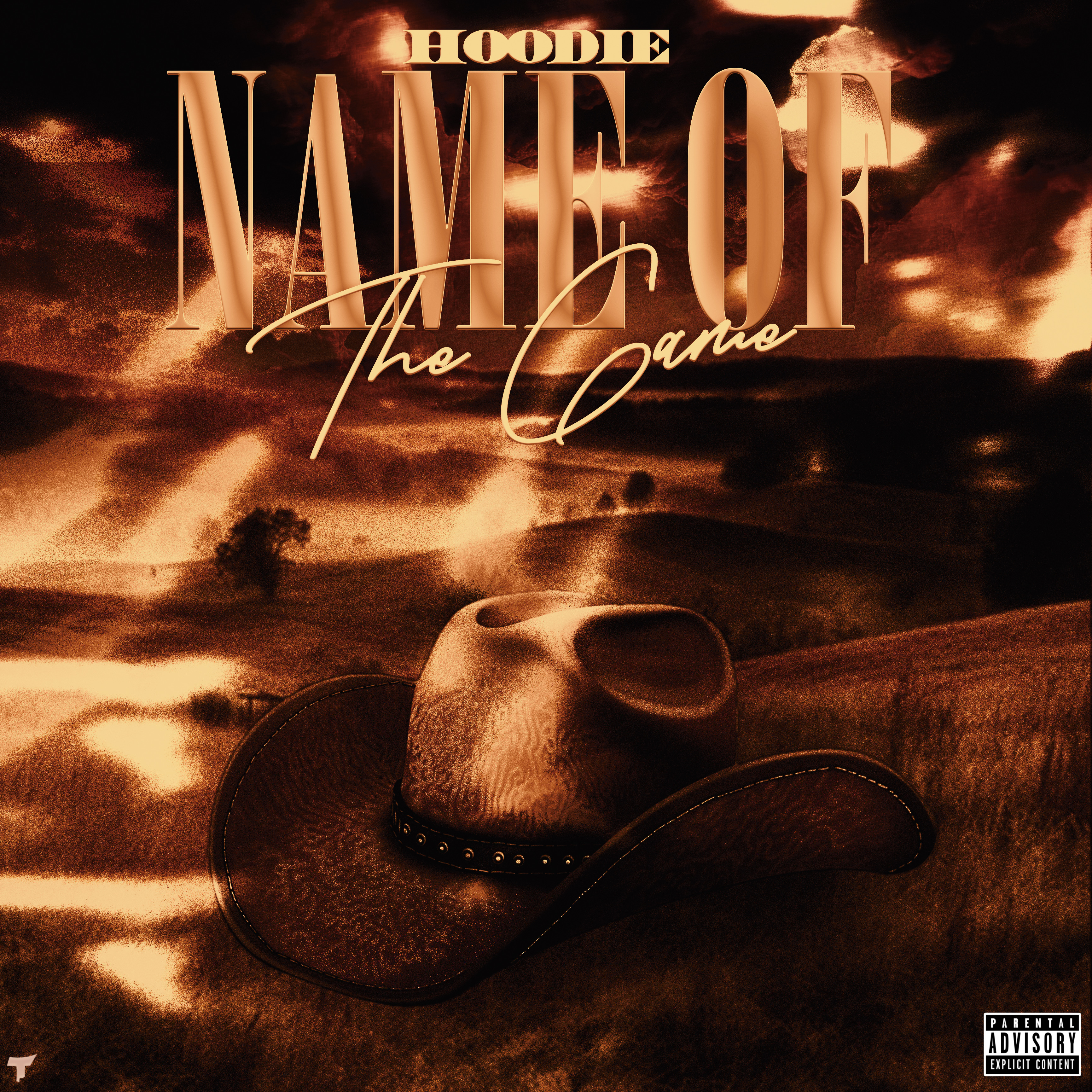 Name Of The Game artwork