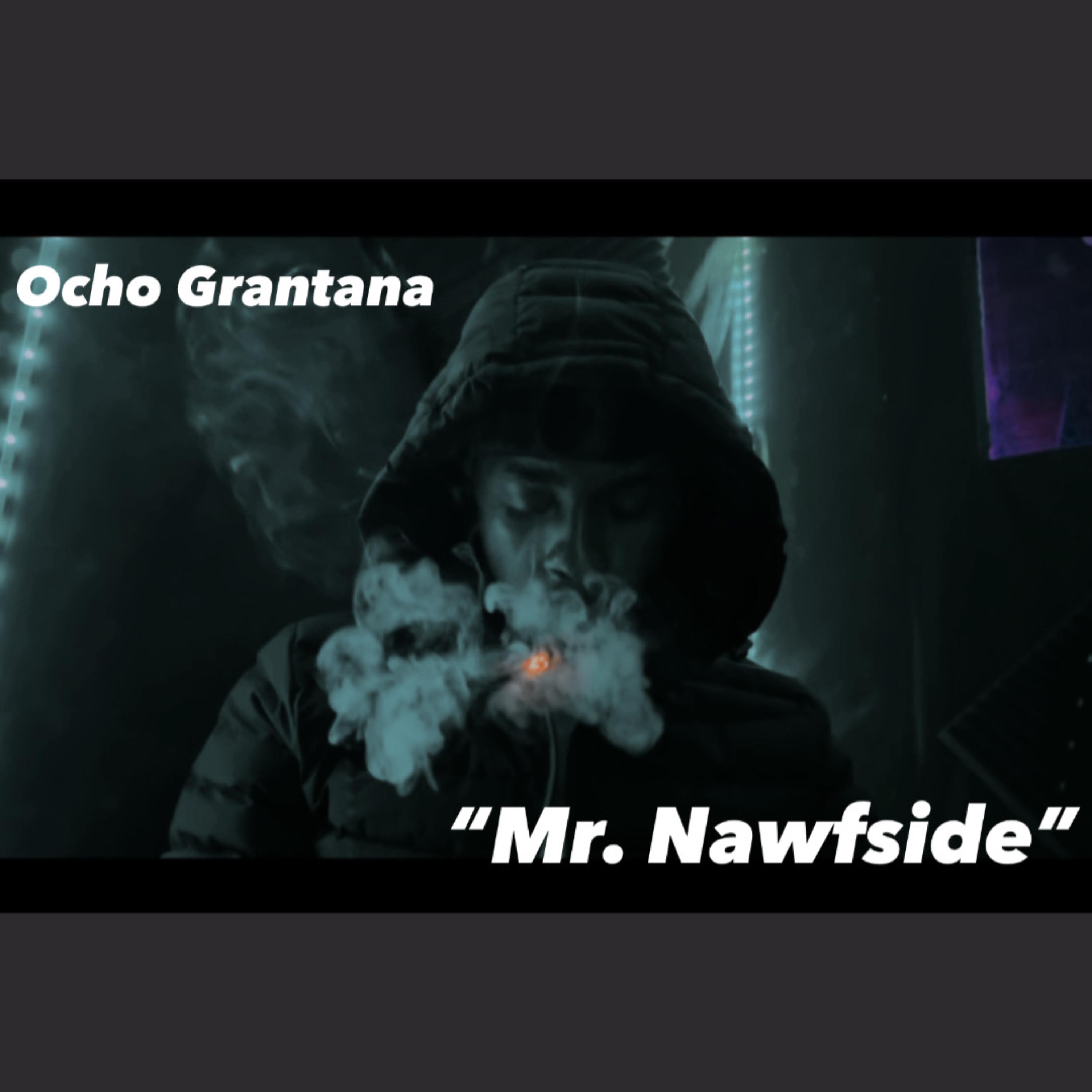 Mr. Nawfside artwork