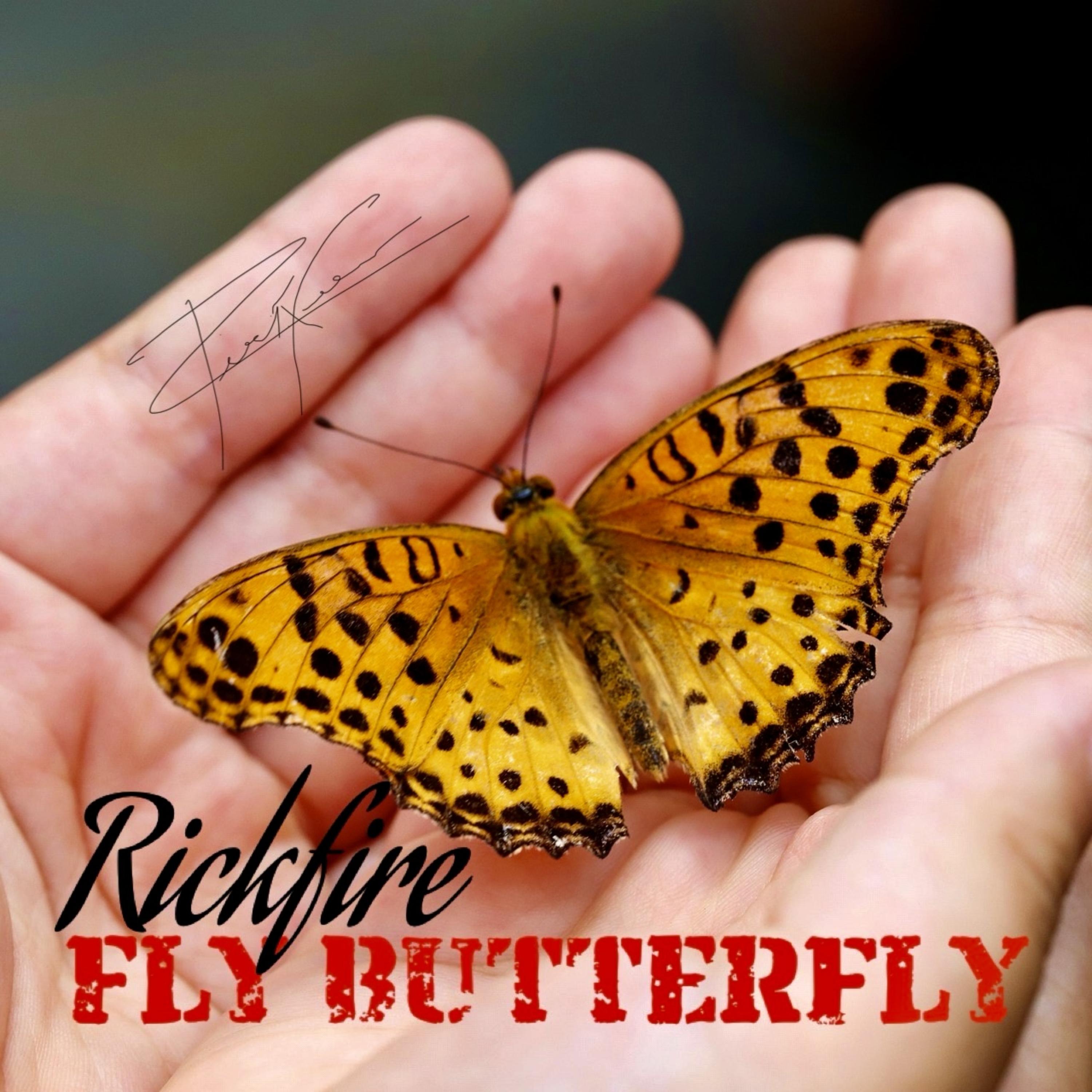 Fly Butterfly artwork