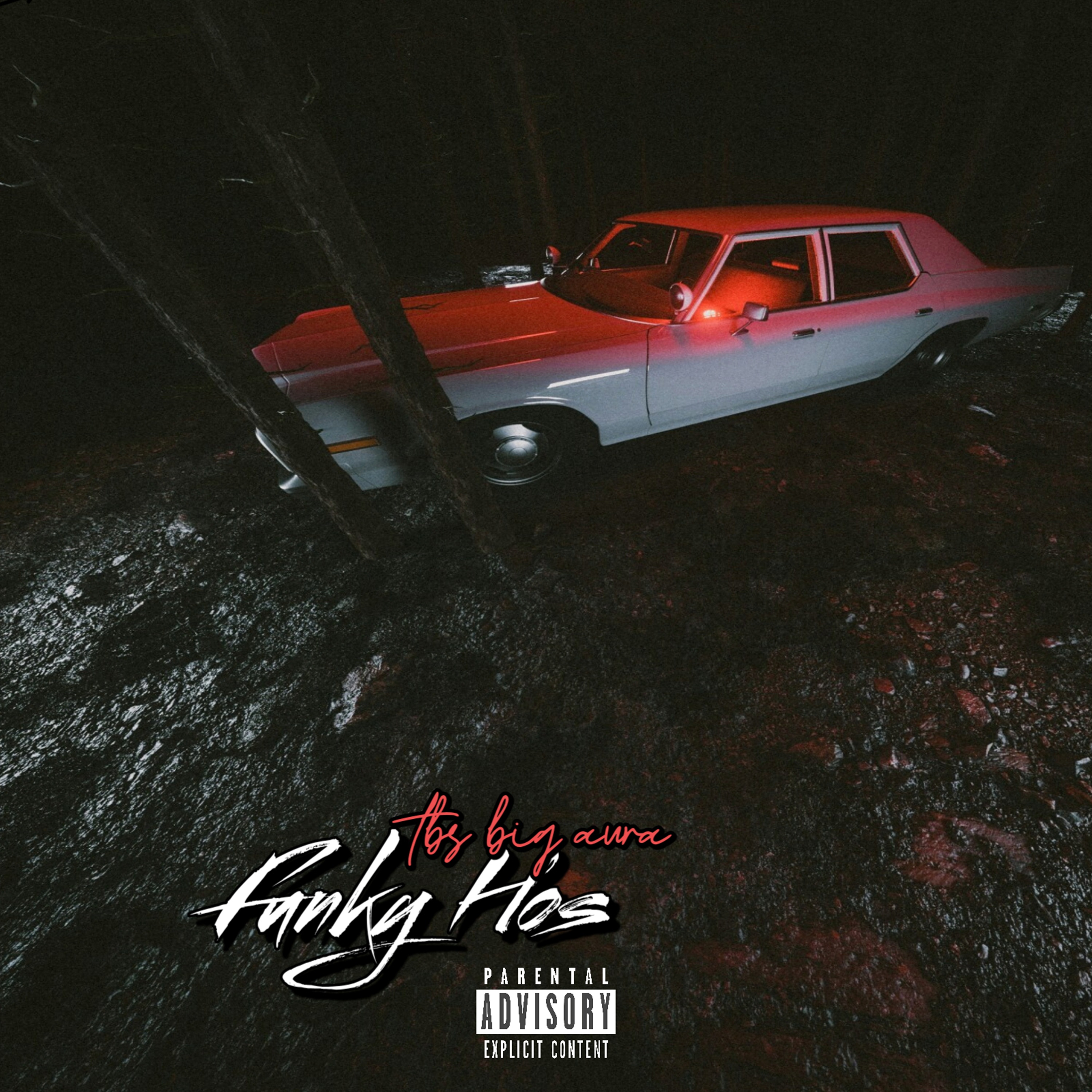 FUNKY HOES by TBS Big Aura cover art