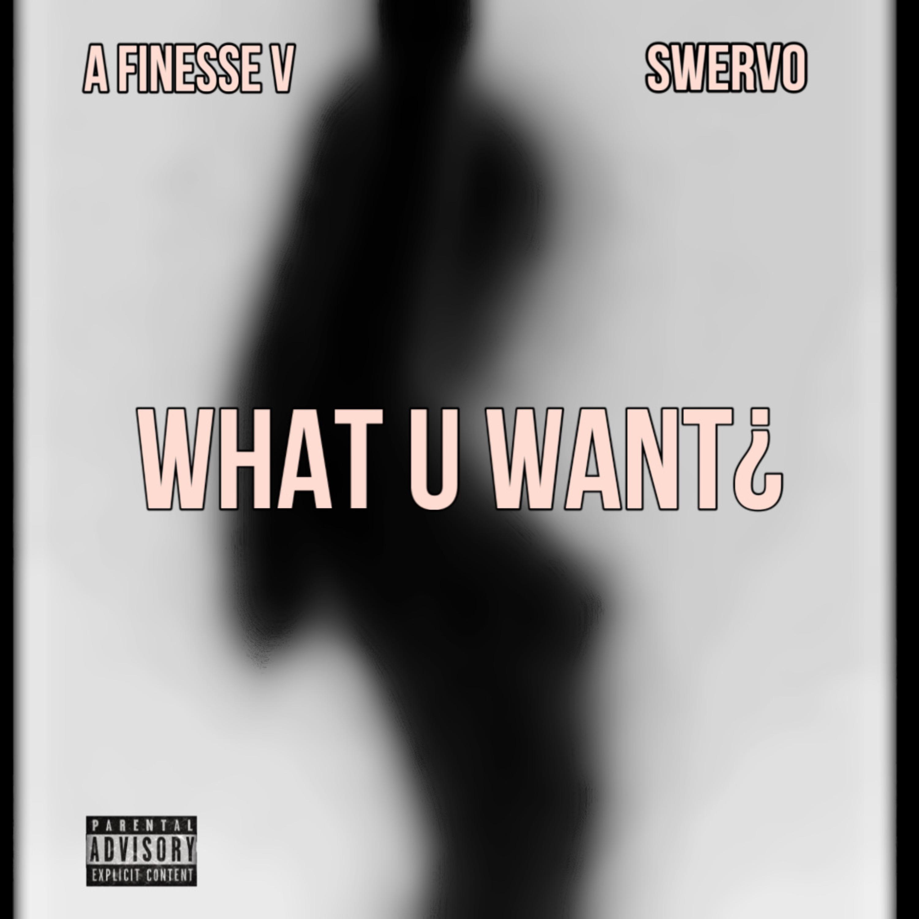 What U Want artwork