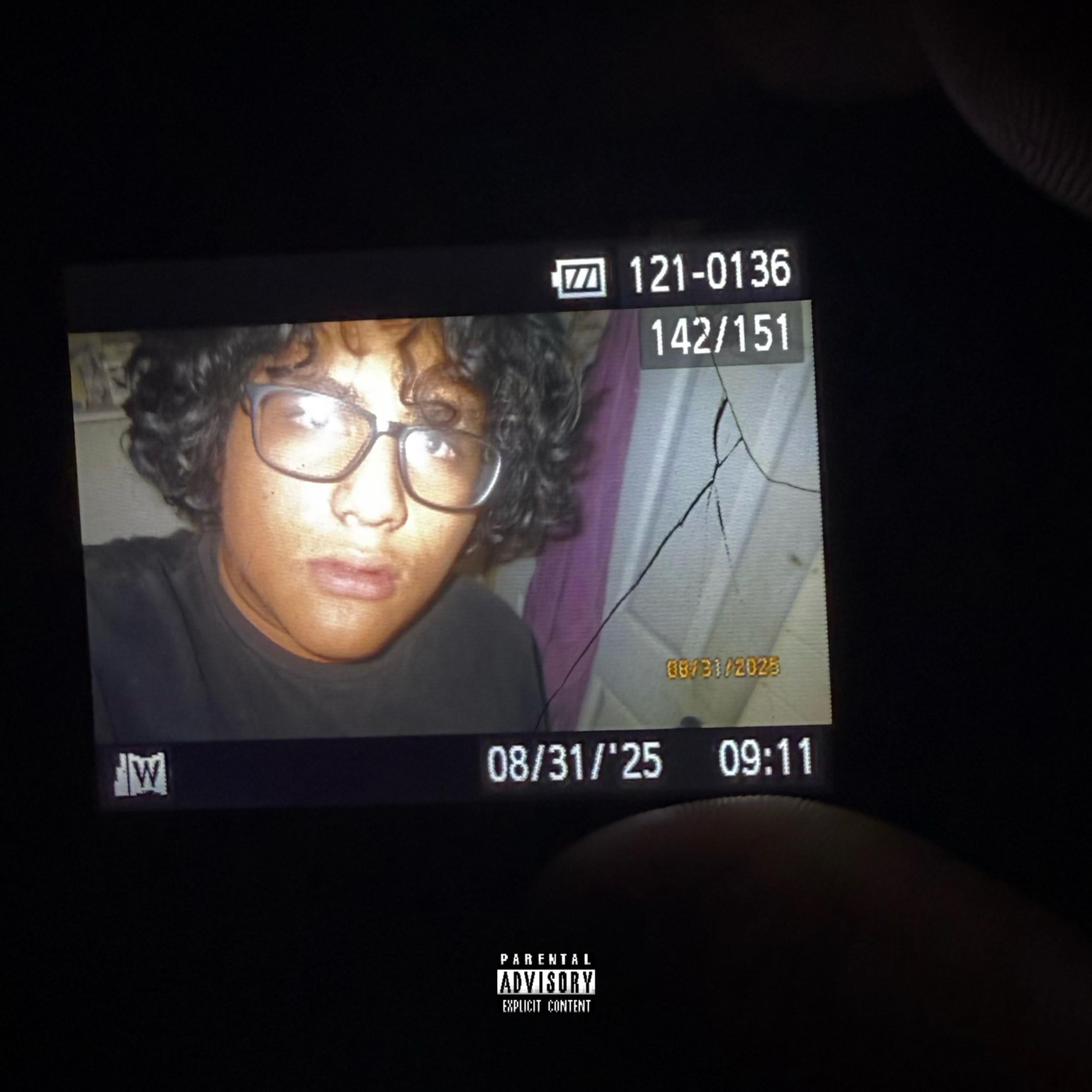 Digital Luv artwork
