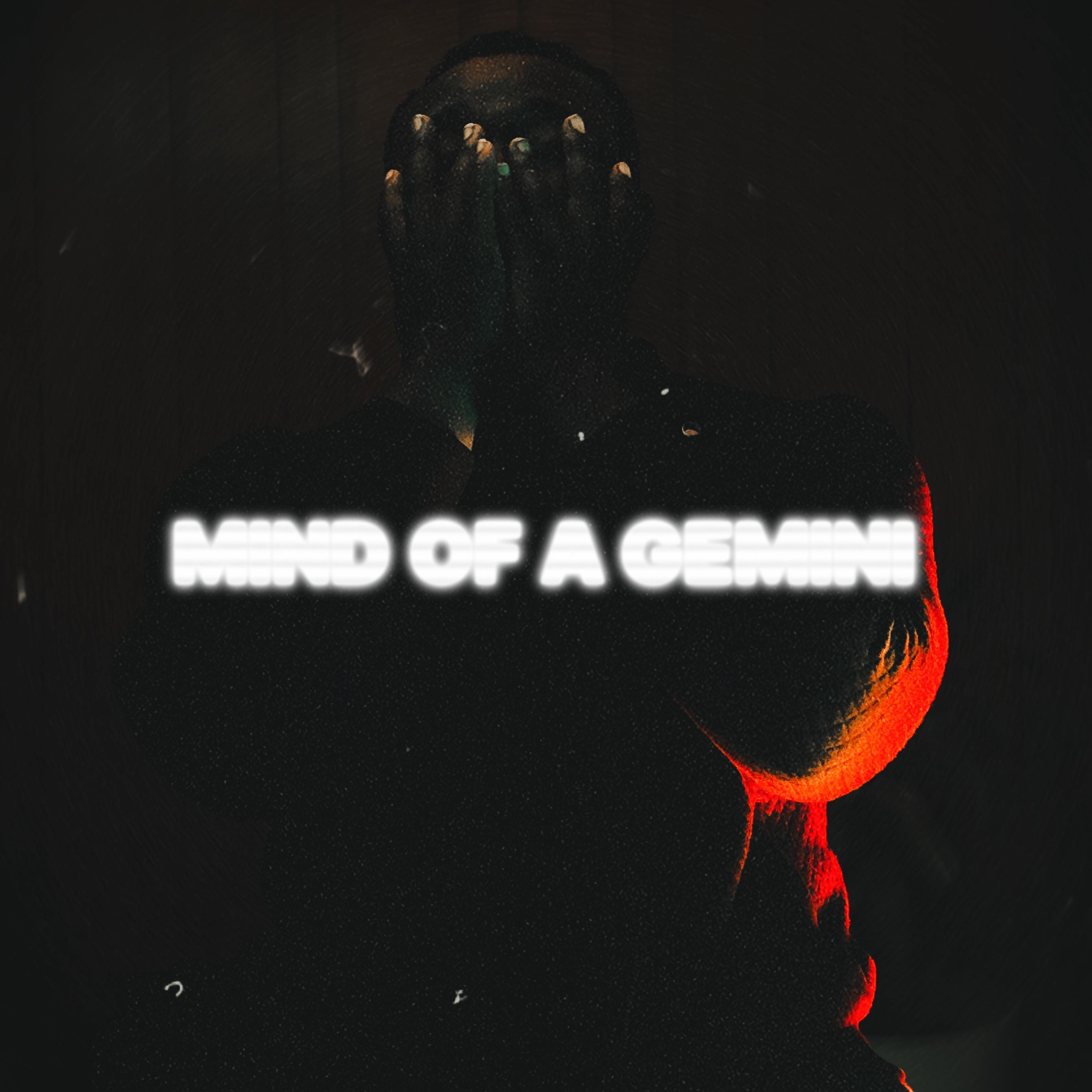 MIND OF A GEMINI artwork