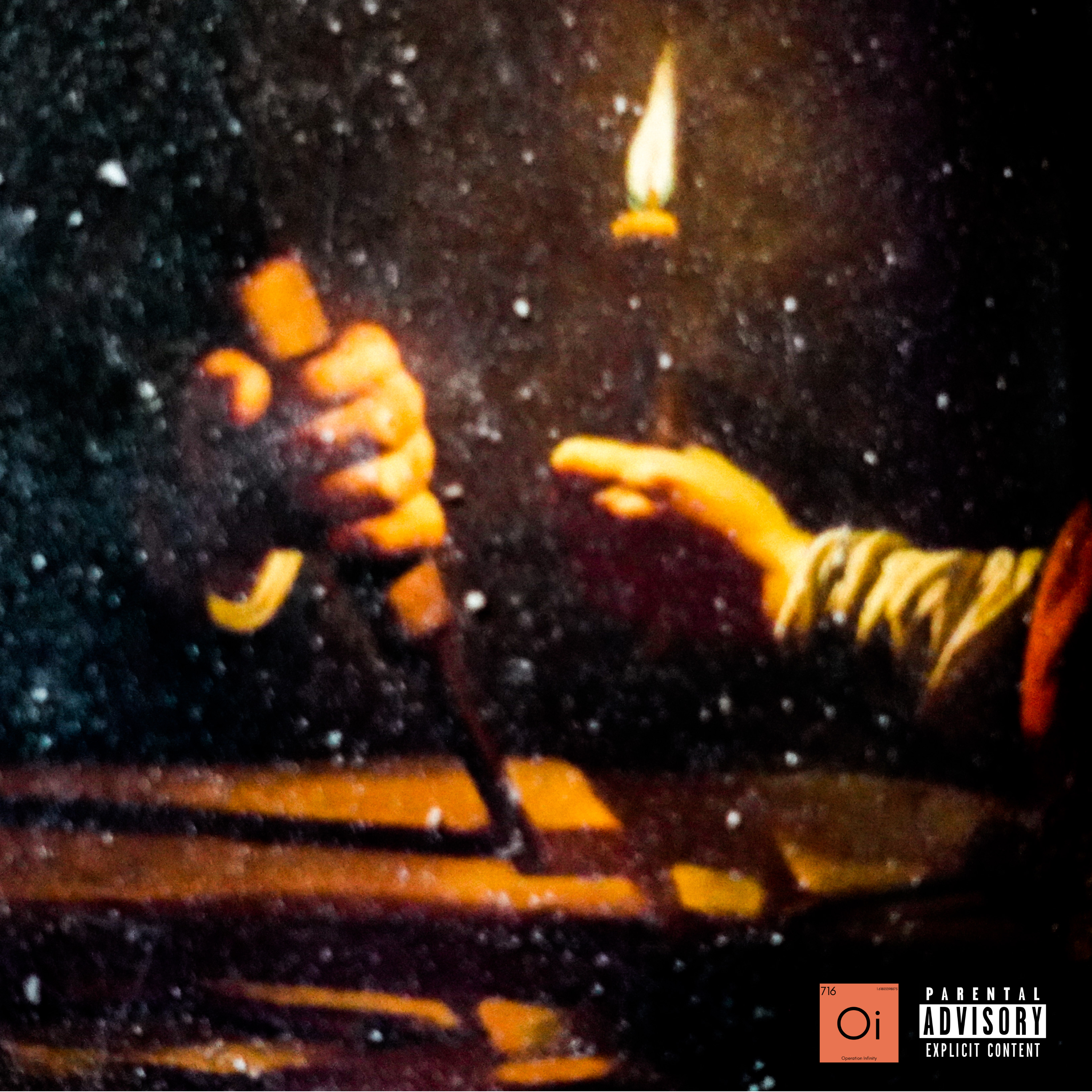 Anatomical Snow artwork