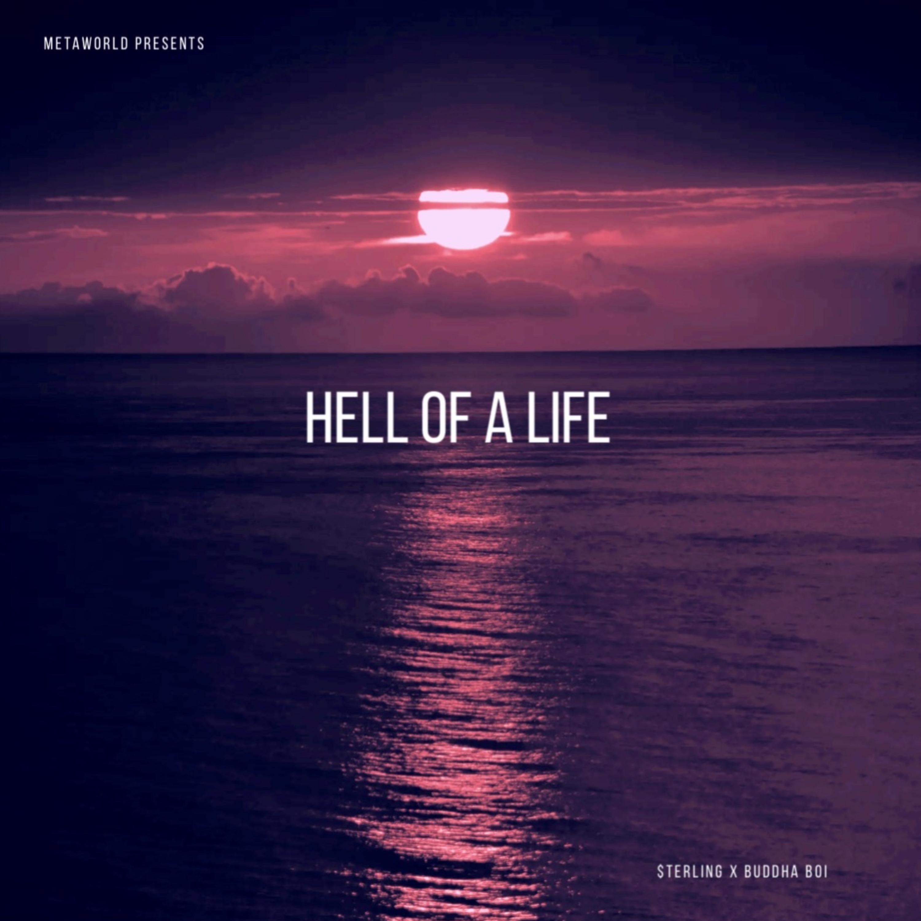 Hell Of A Life artwork
