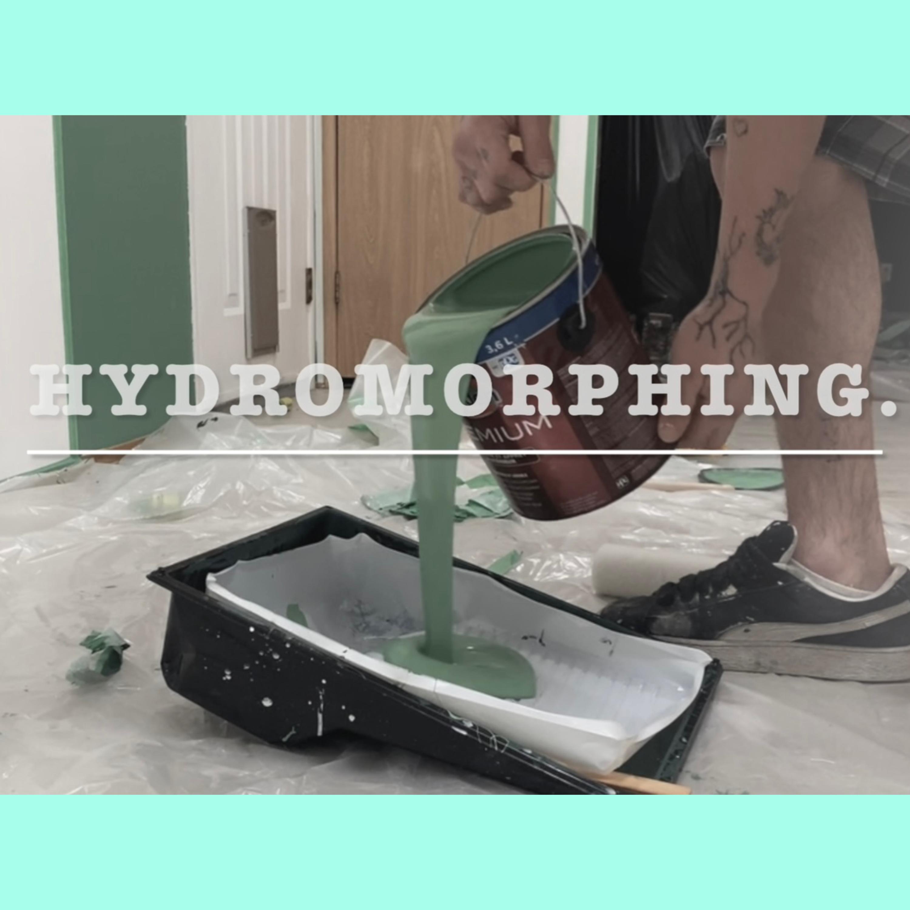 Hydromorphing. artwork