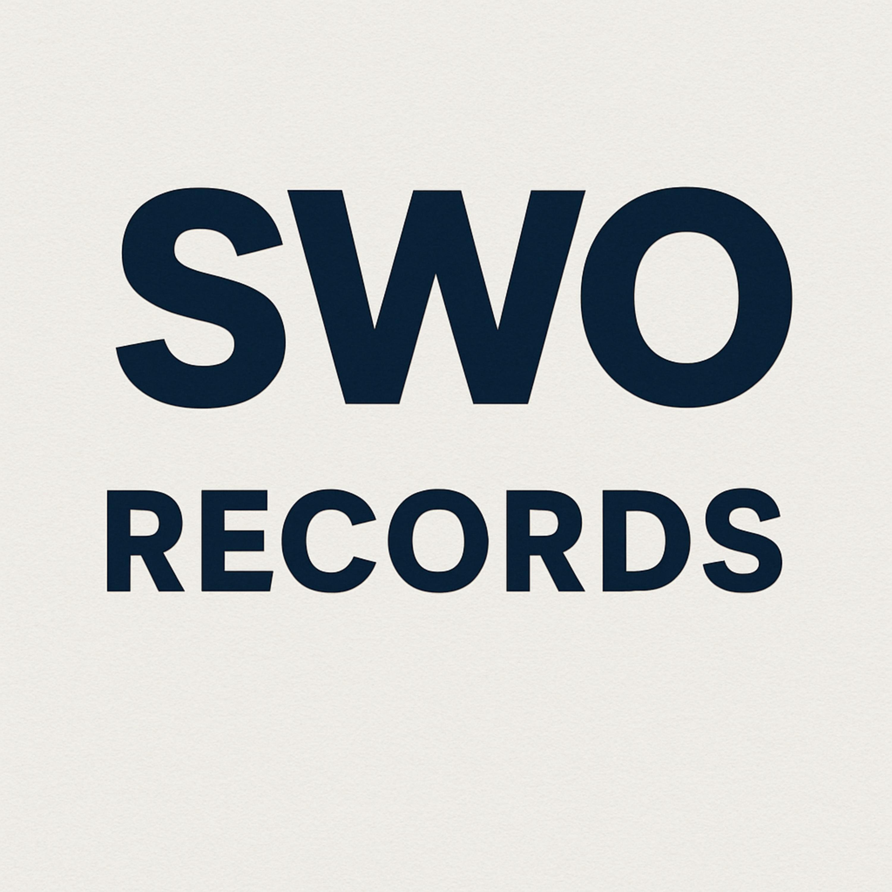 Success Without Options : Welcome 2 The Swo artwork