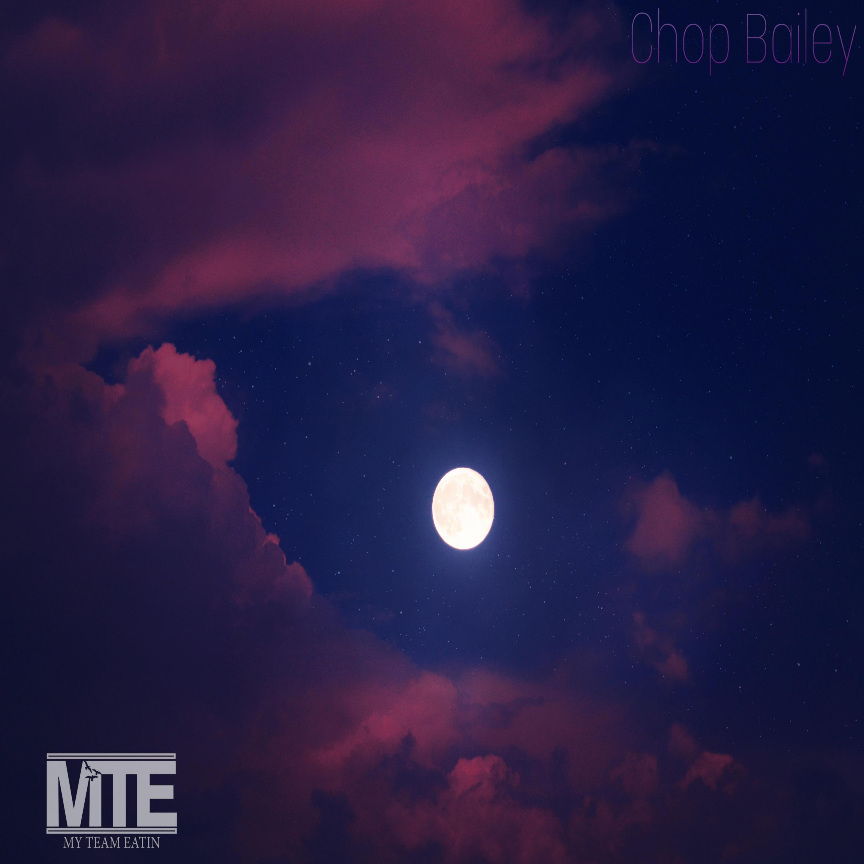Talking To The Moon artwork