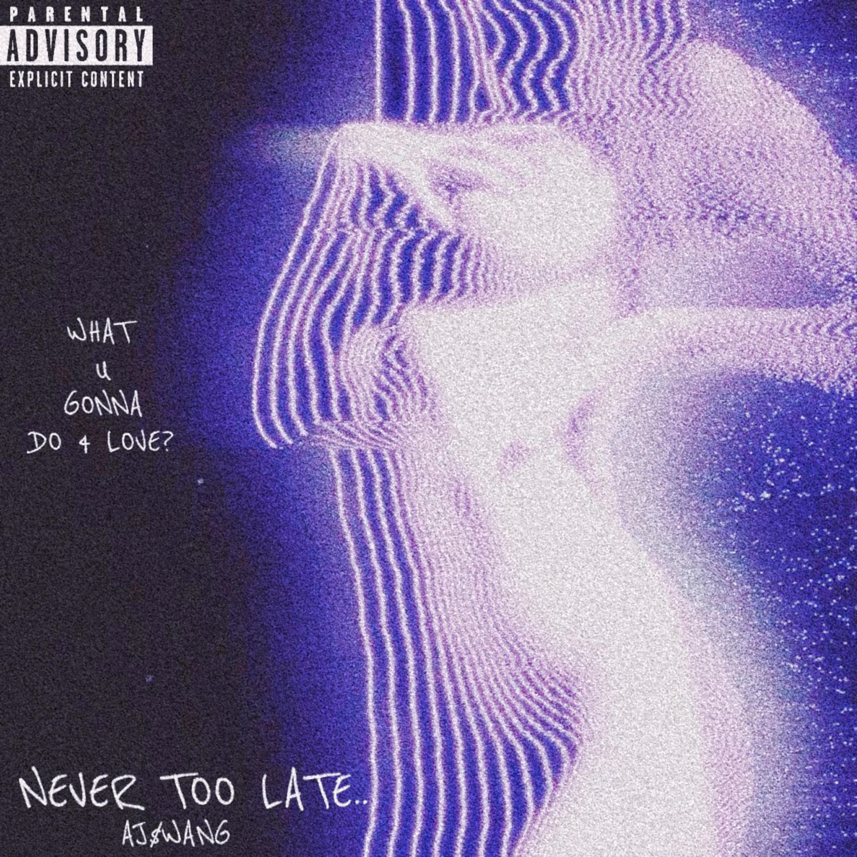 Never Too Late artwork