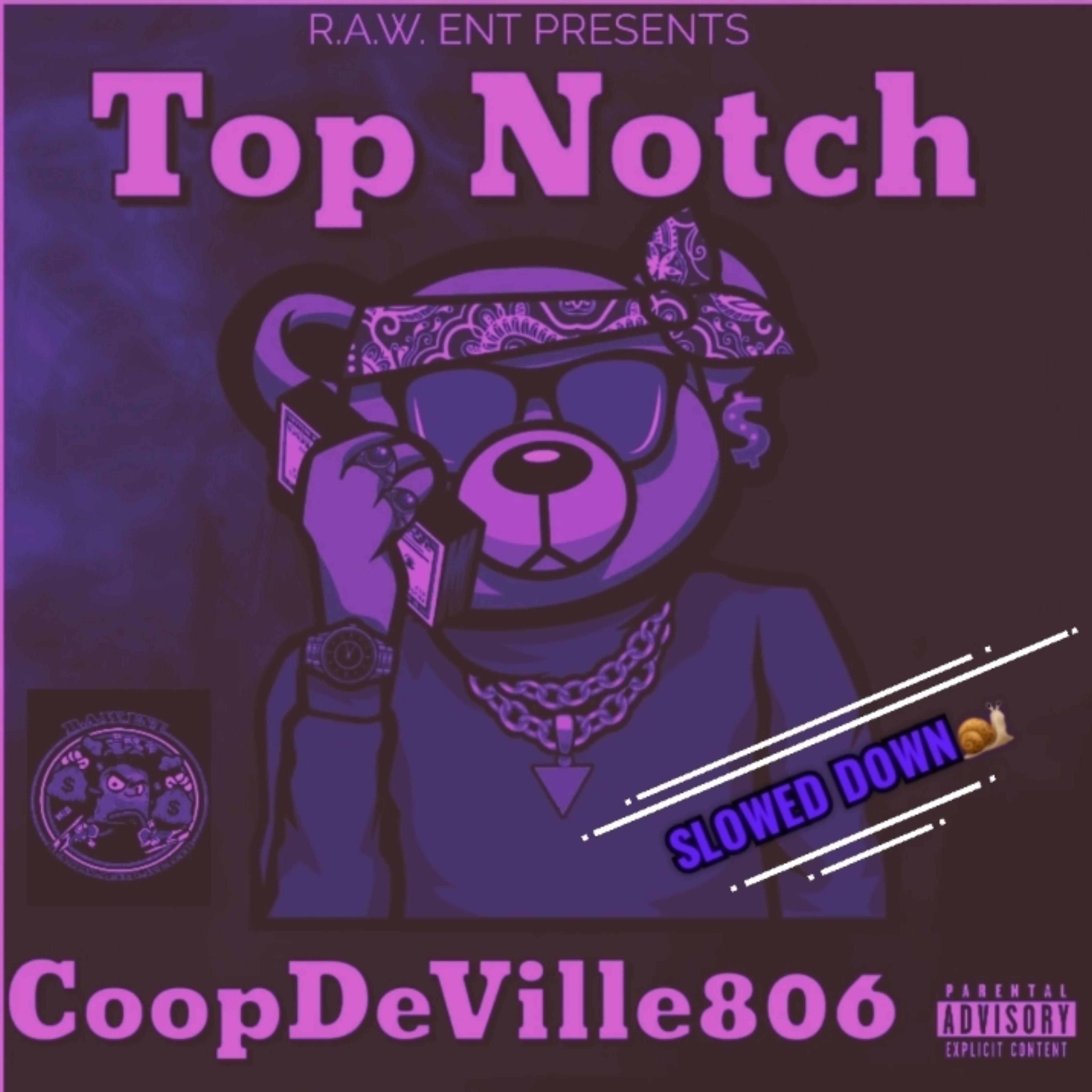 Top Notch (slowed down) artwork