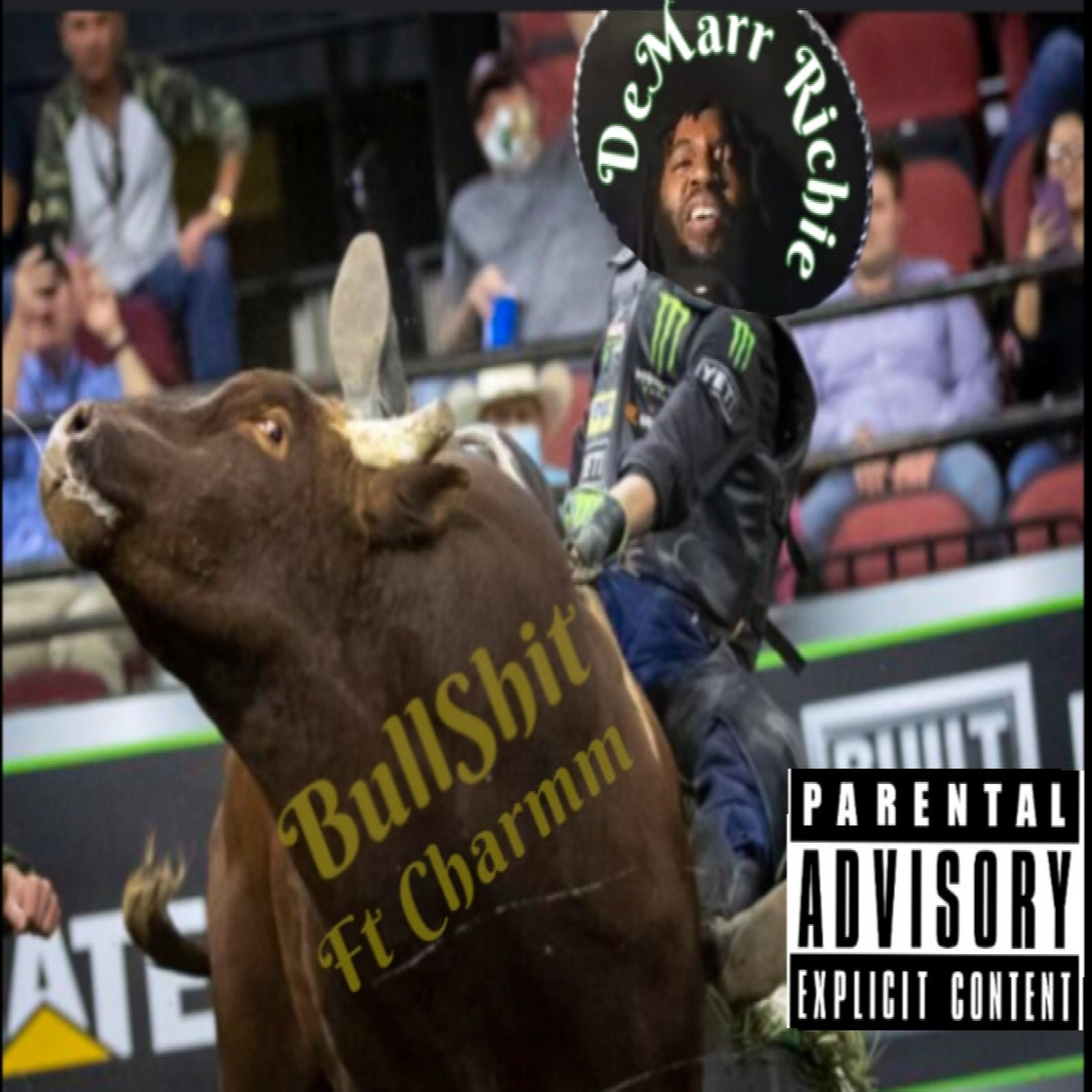 Bullshit artwork