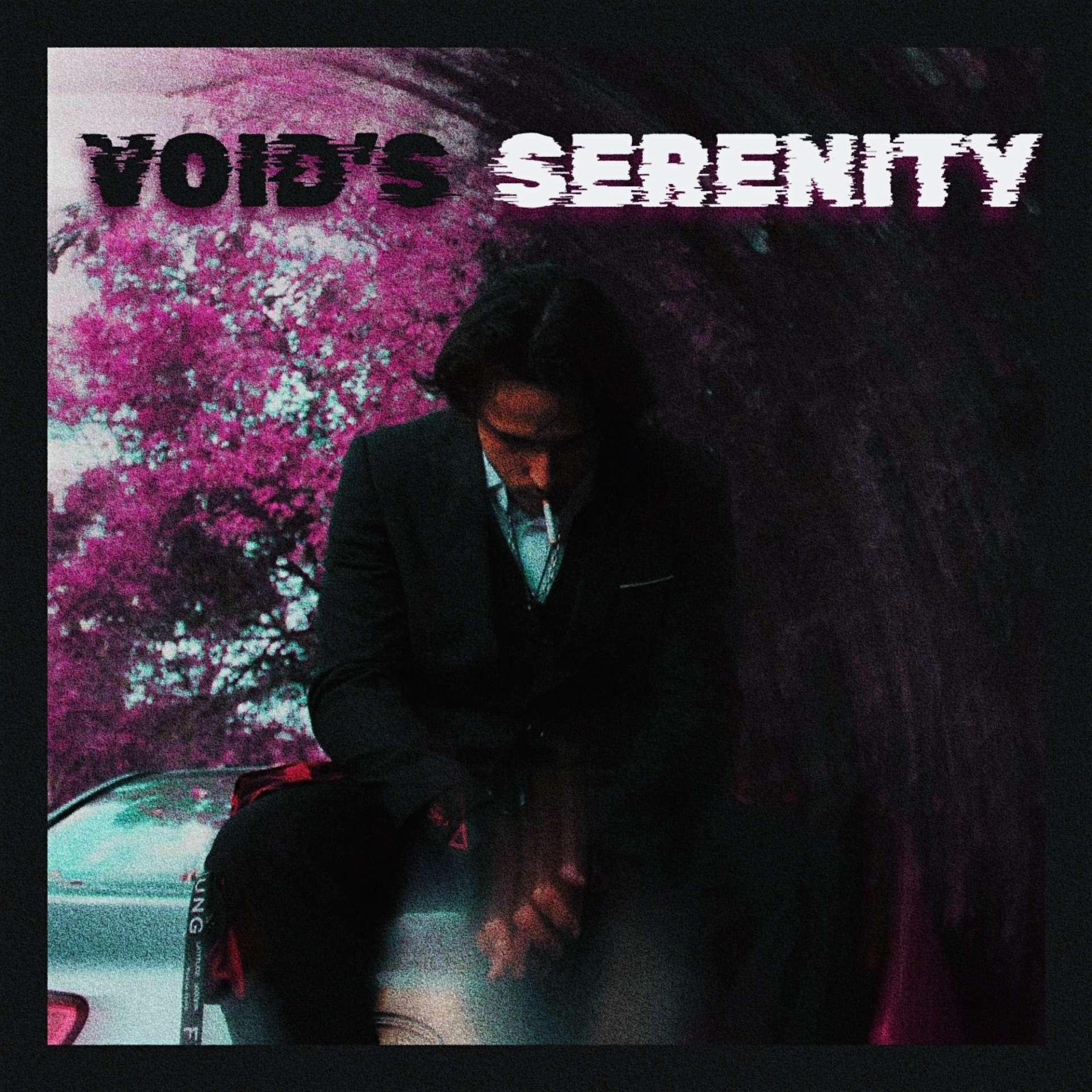 Void's Serenity artwork