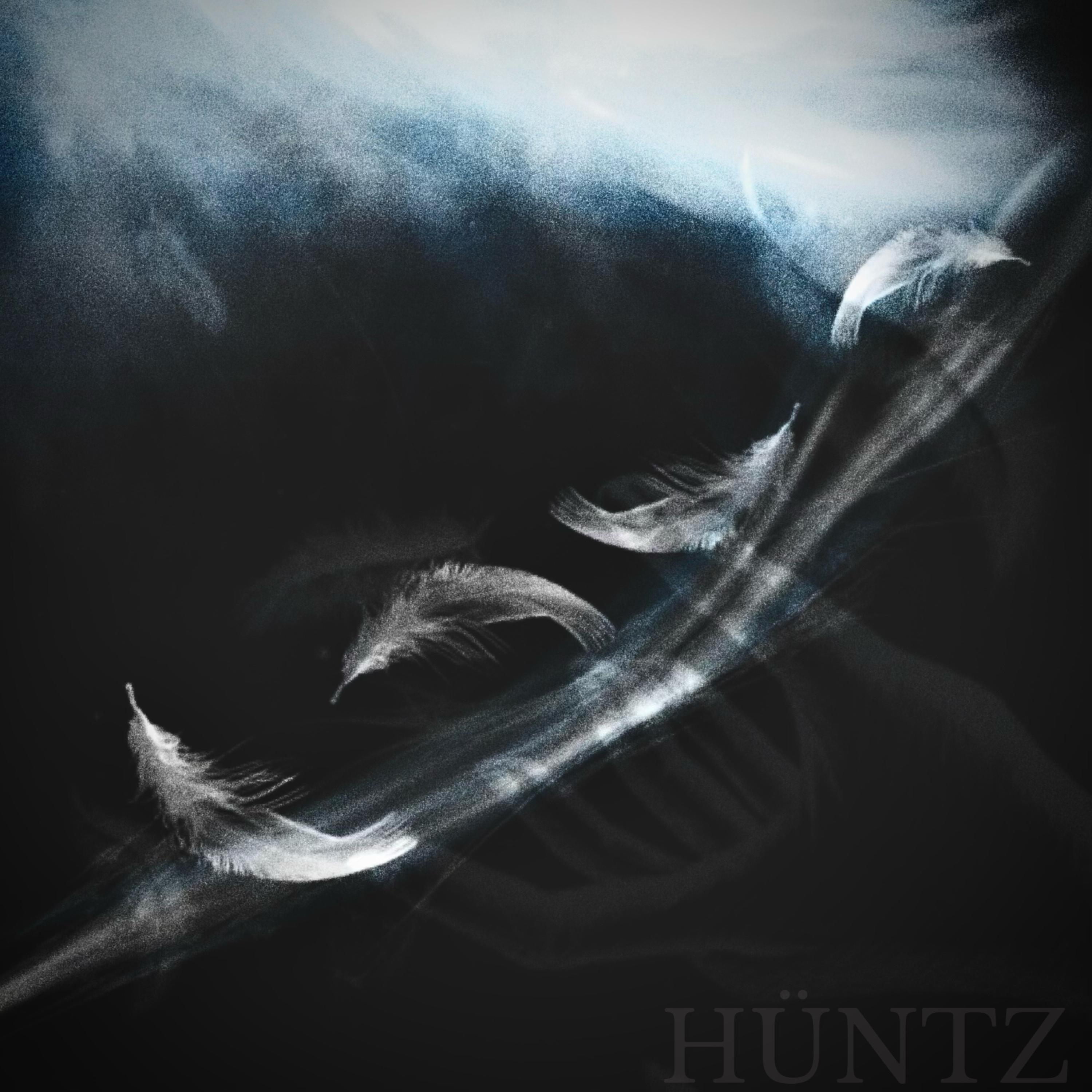 FEATHER IN THE WIND artwork