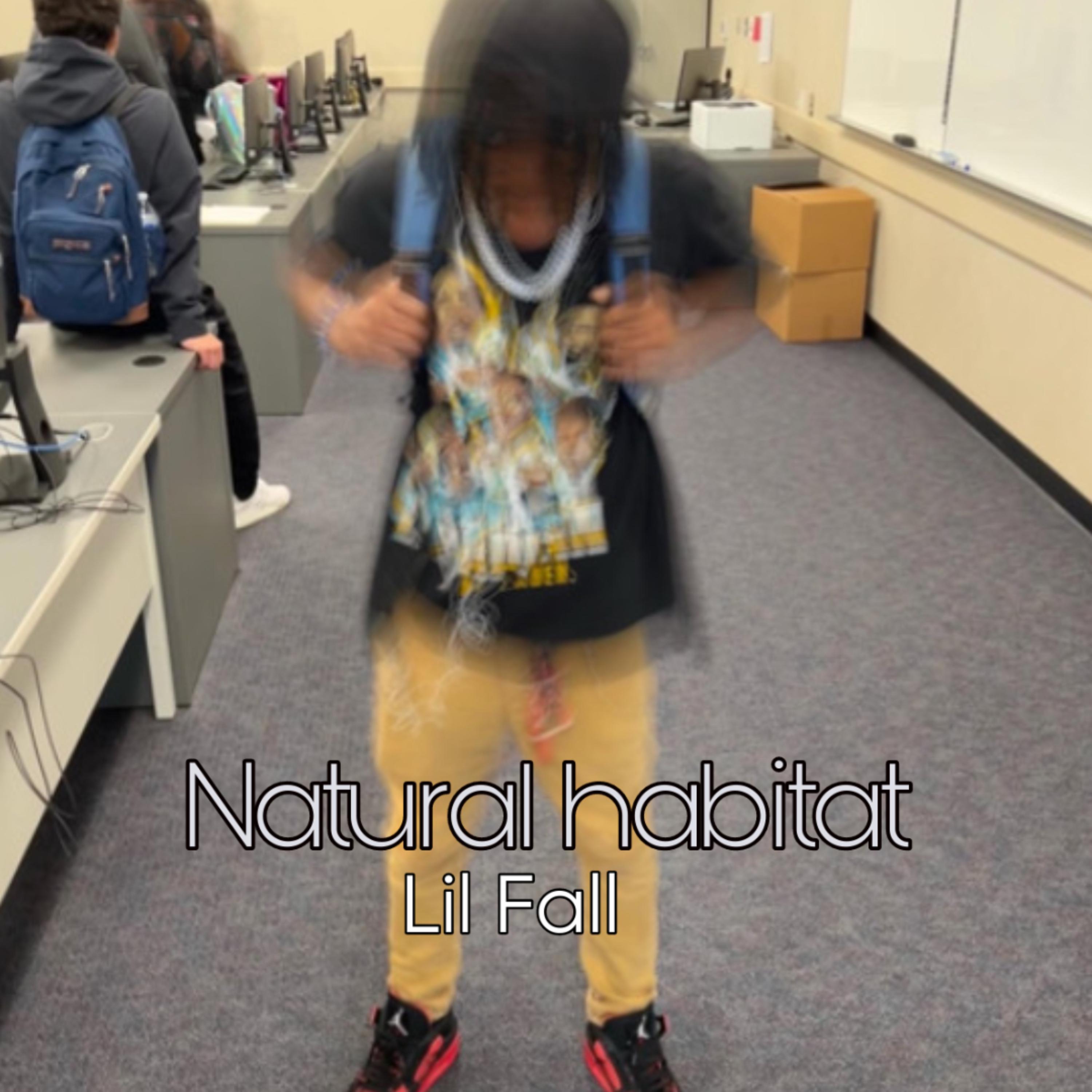Natural Habitat artwork
