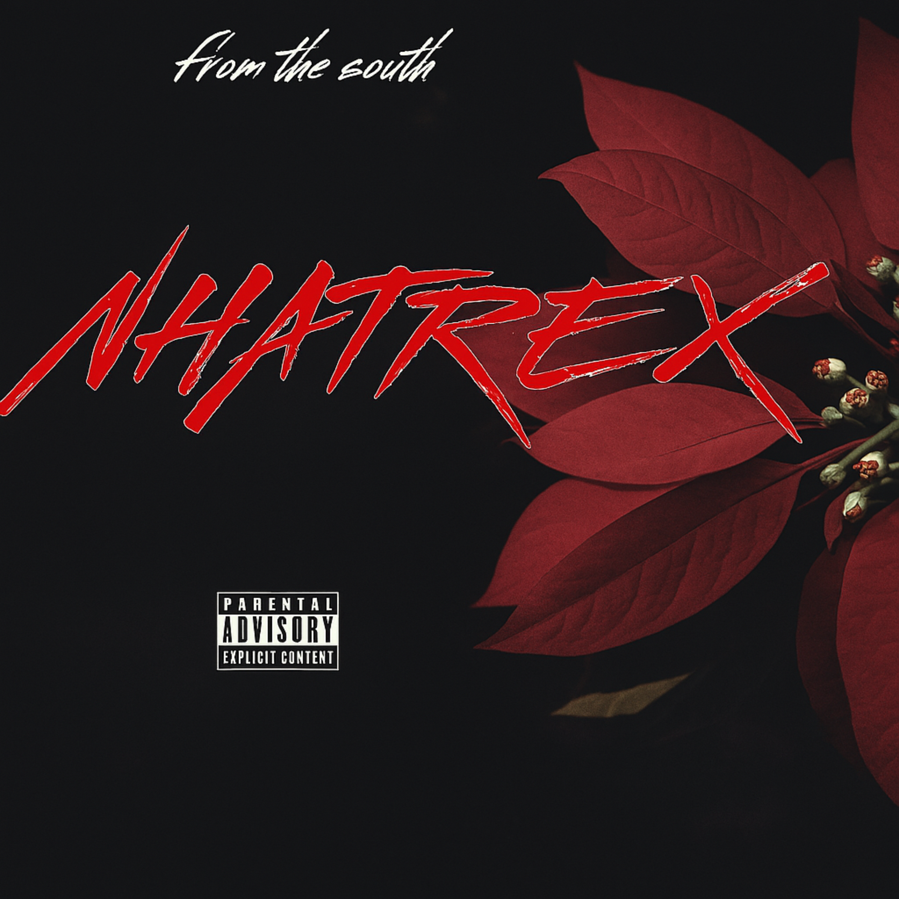 Im from the South artwork