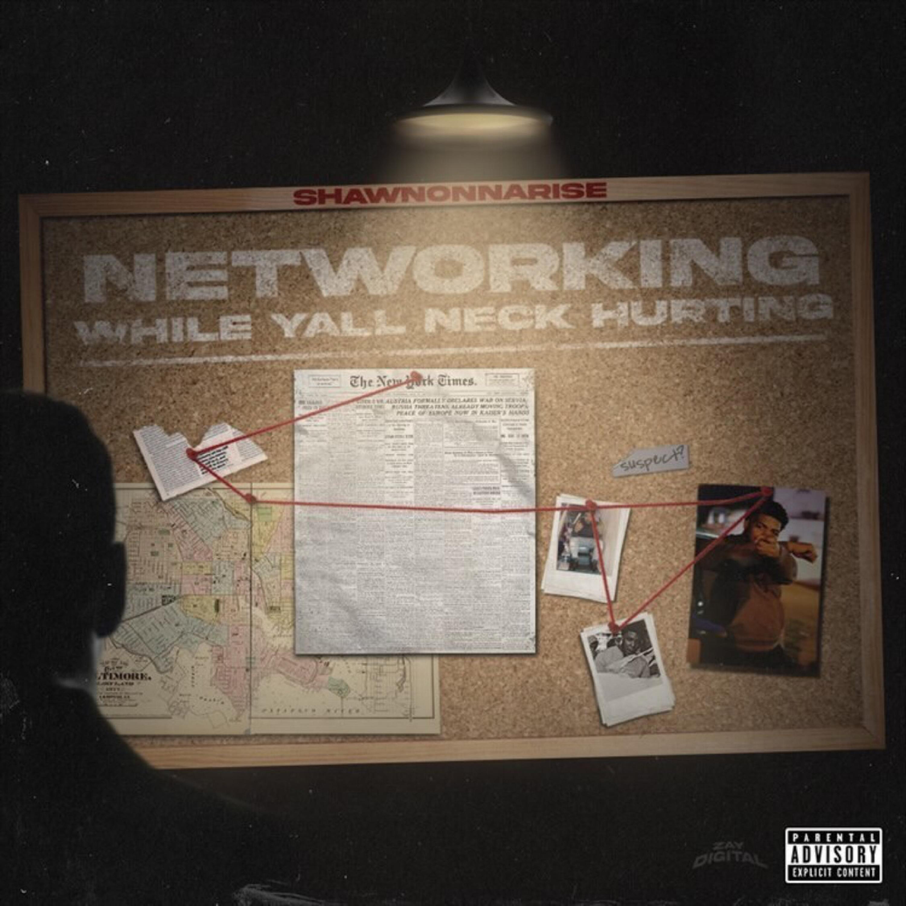 Networking While Yall Neck Hurting by Shawnonnarise cover art