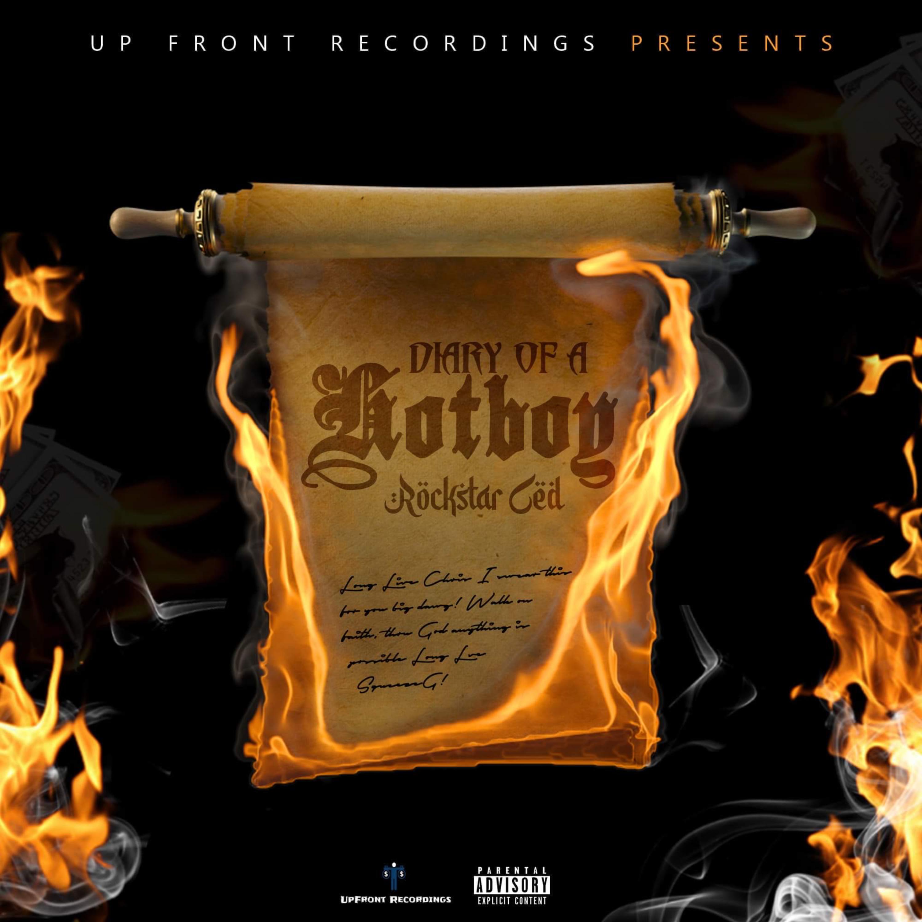 Diary Of A Hotboy artwork