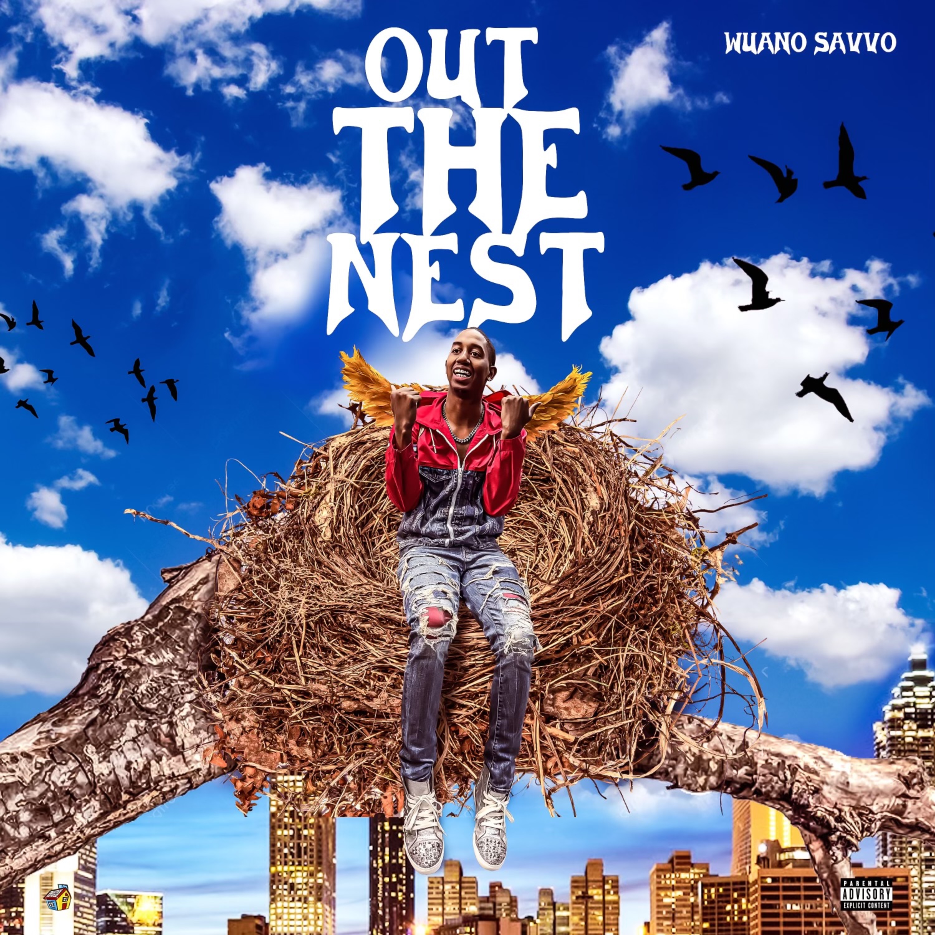 OUT THE NEST artwork