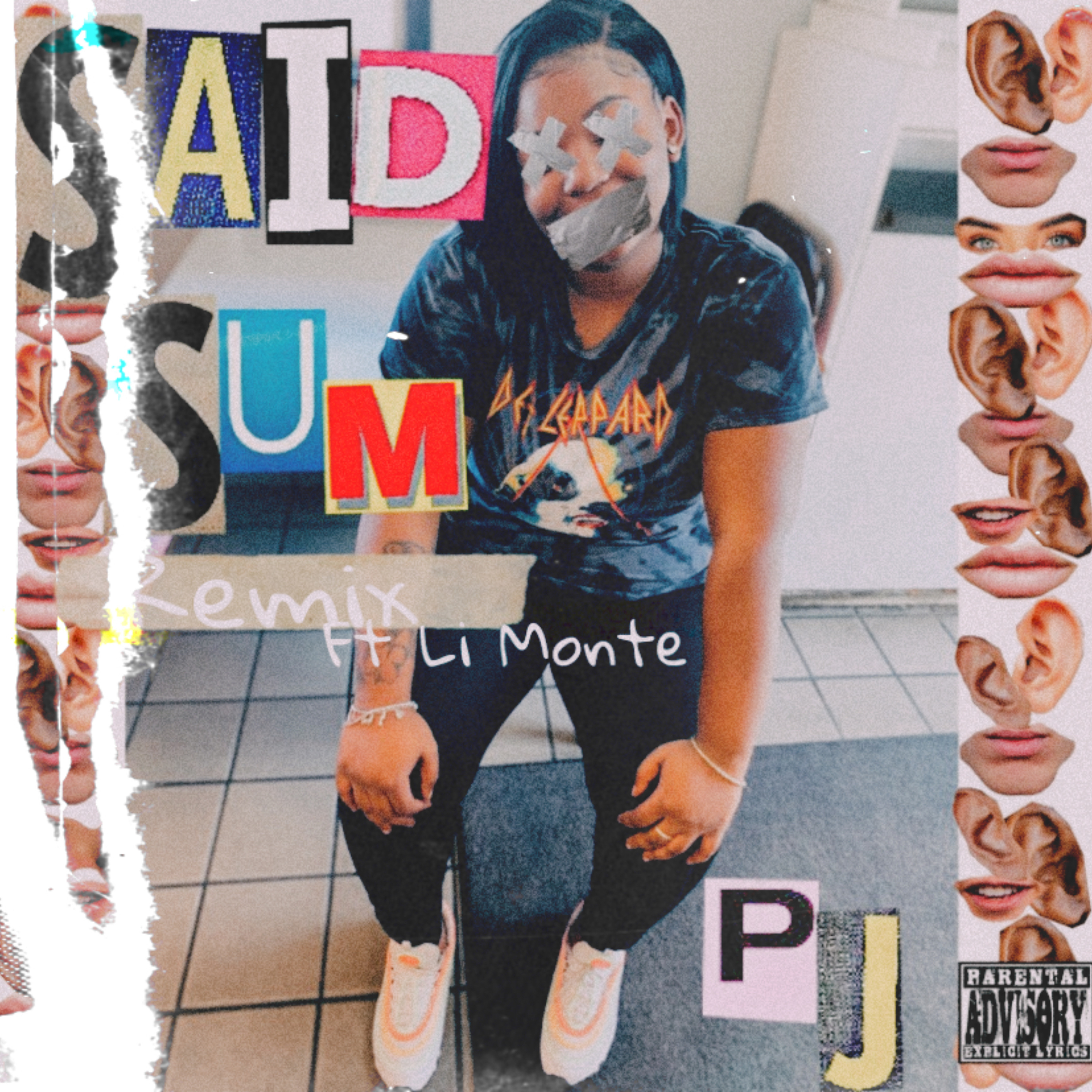 Said Sum (remix) by Plane Jane cover art