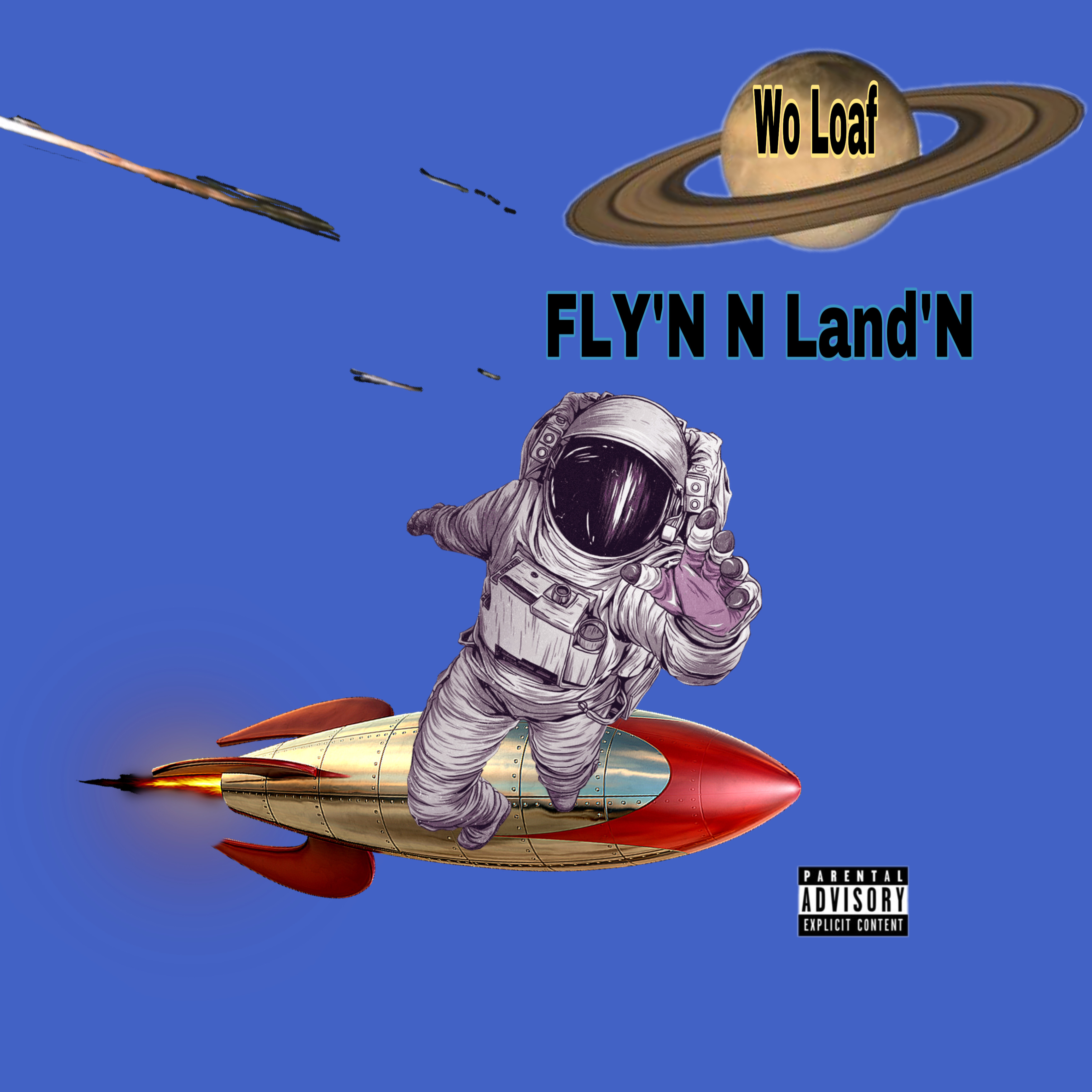 Fly'N N Land'N artwork