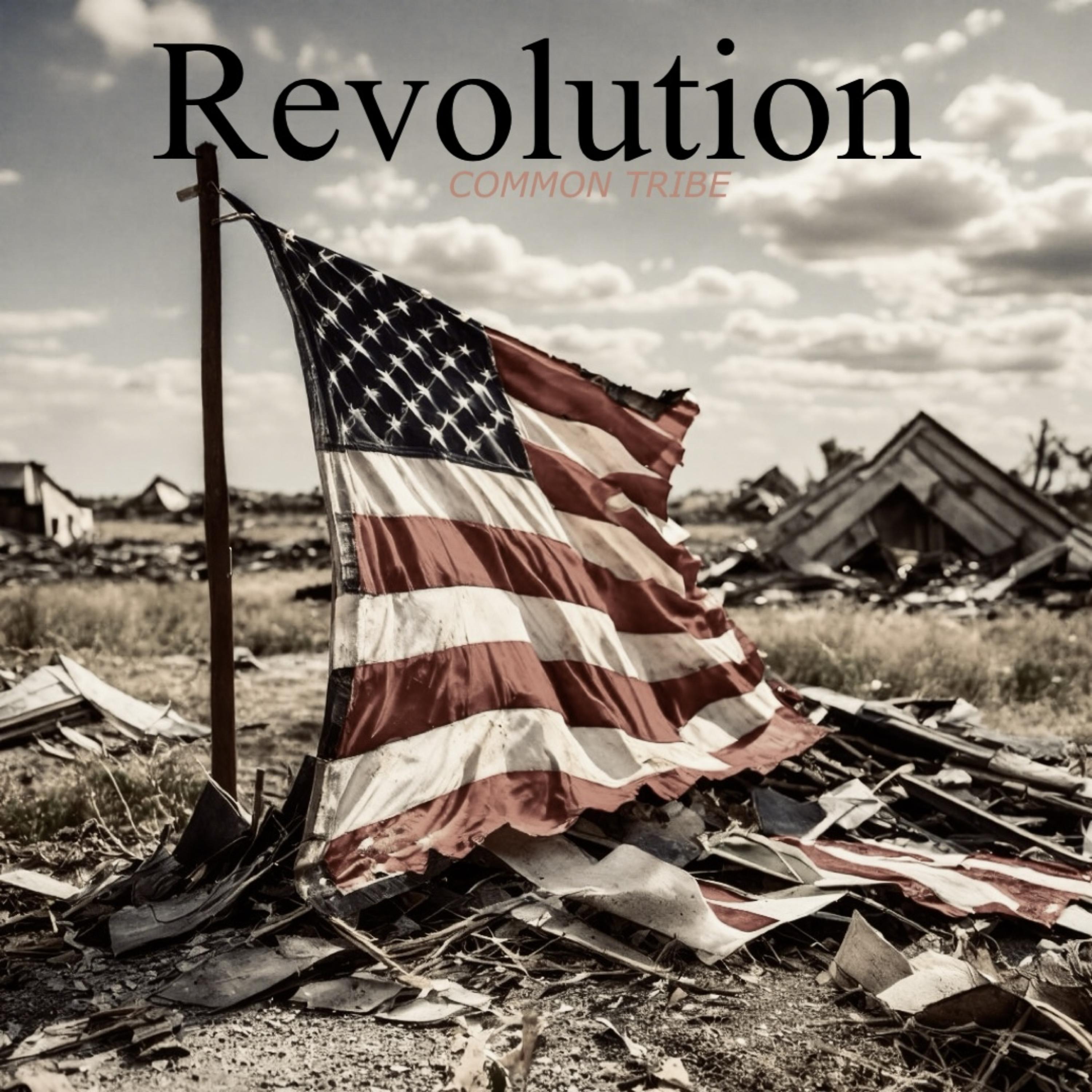 Revolution artwork