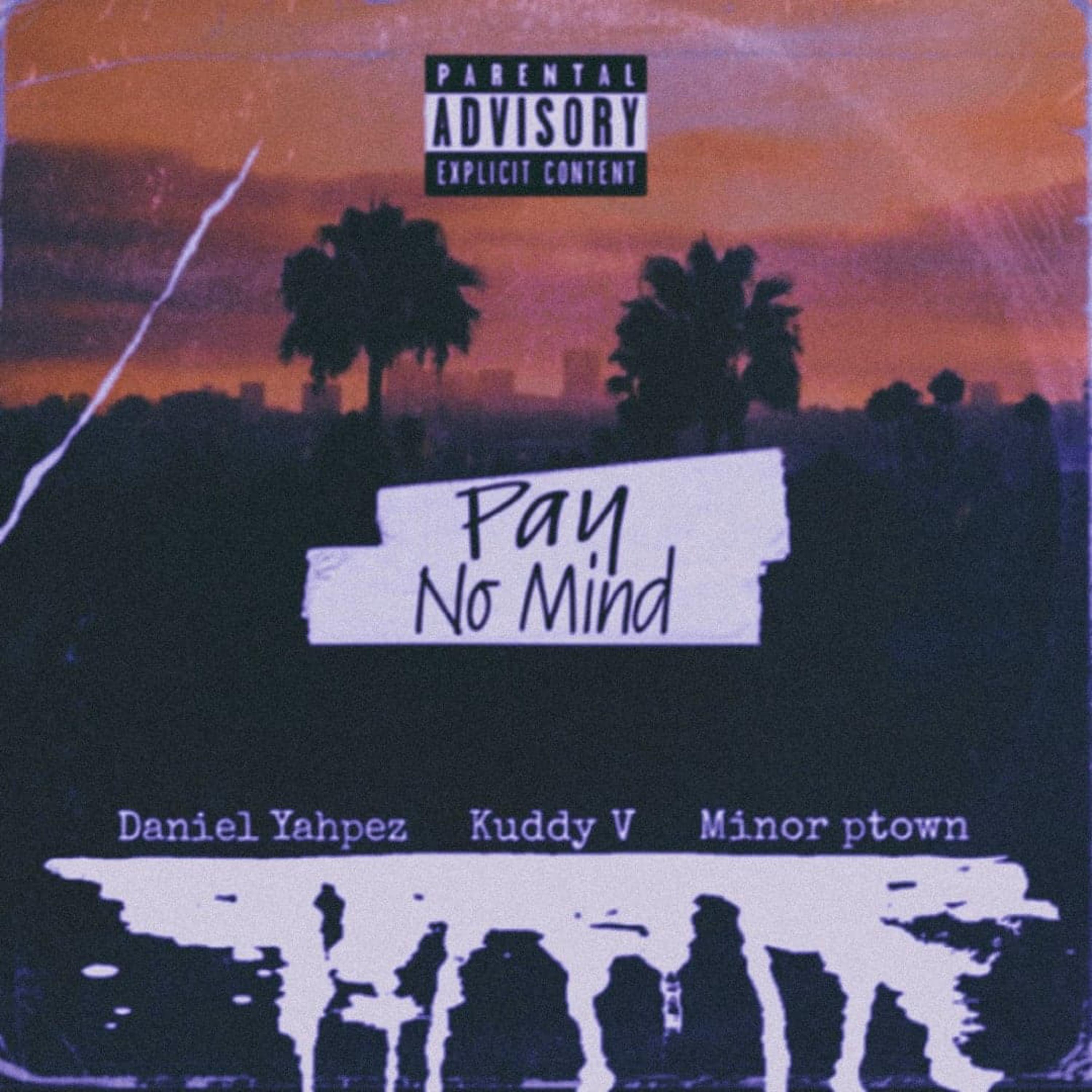 Pay No Mind artwork