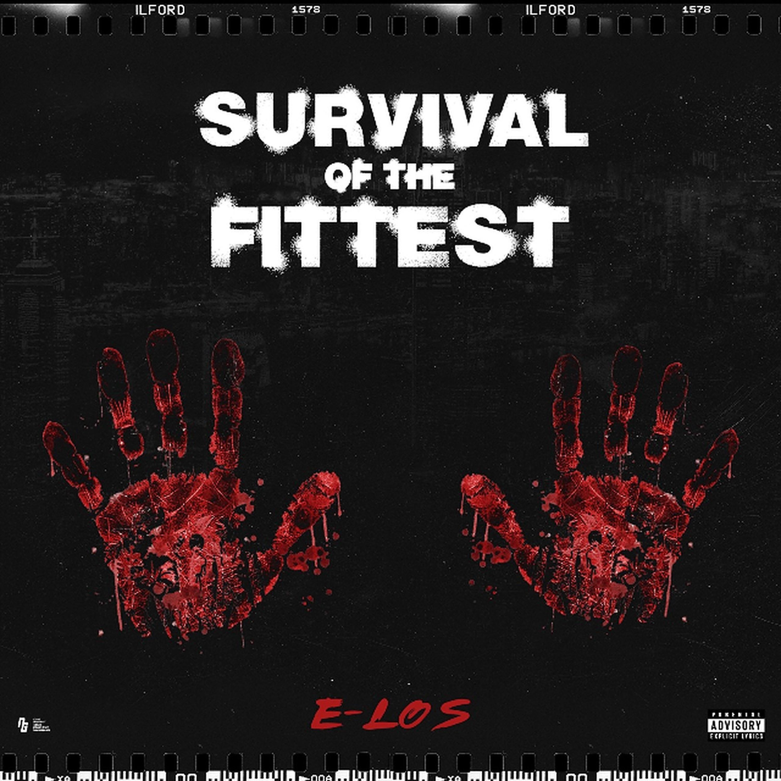 Survival of the Fittest artwork
