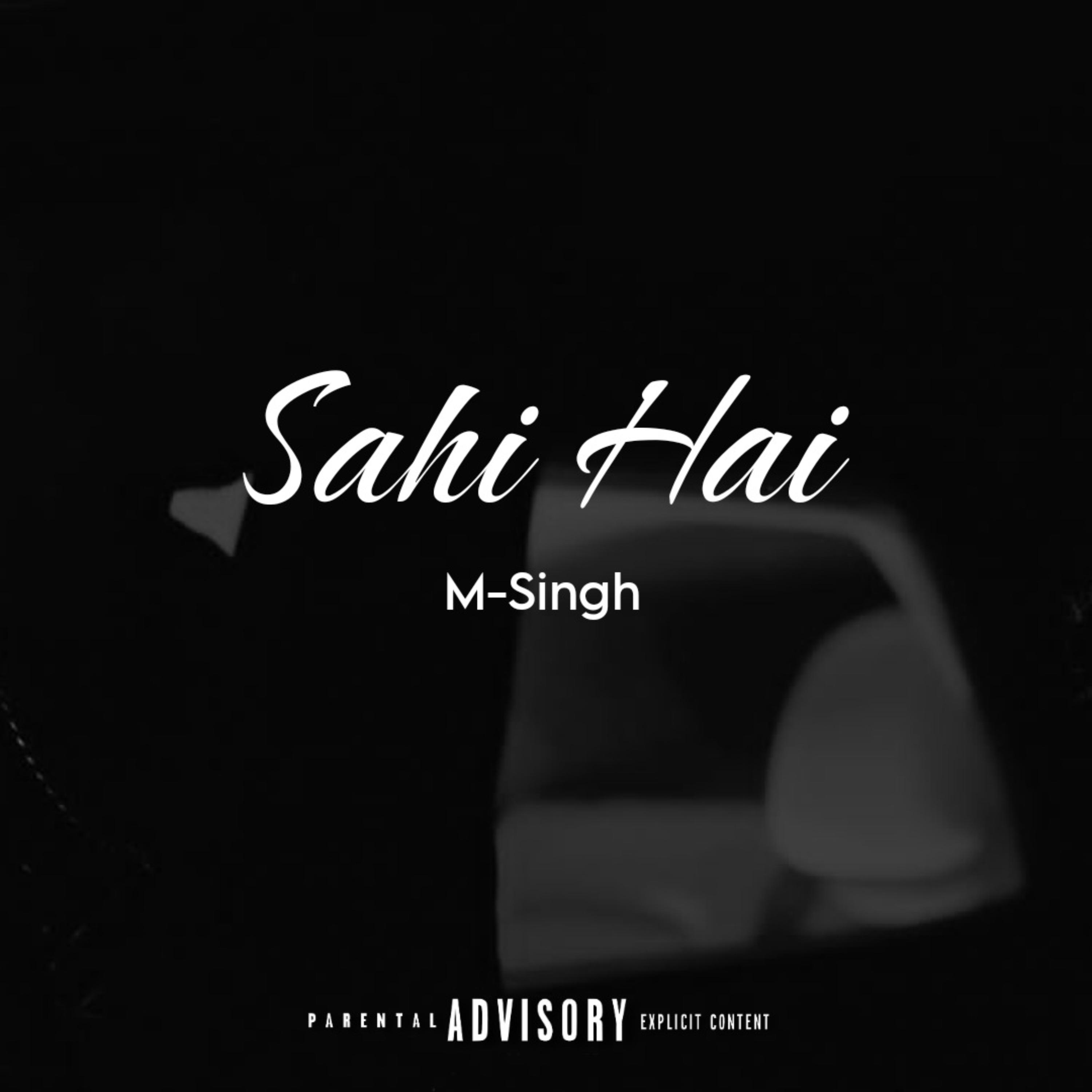 Sahi Hai artwork