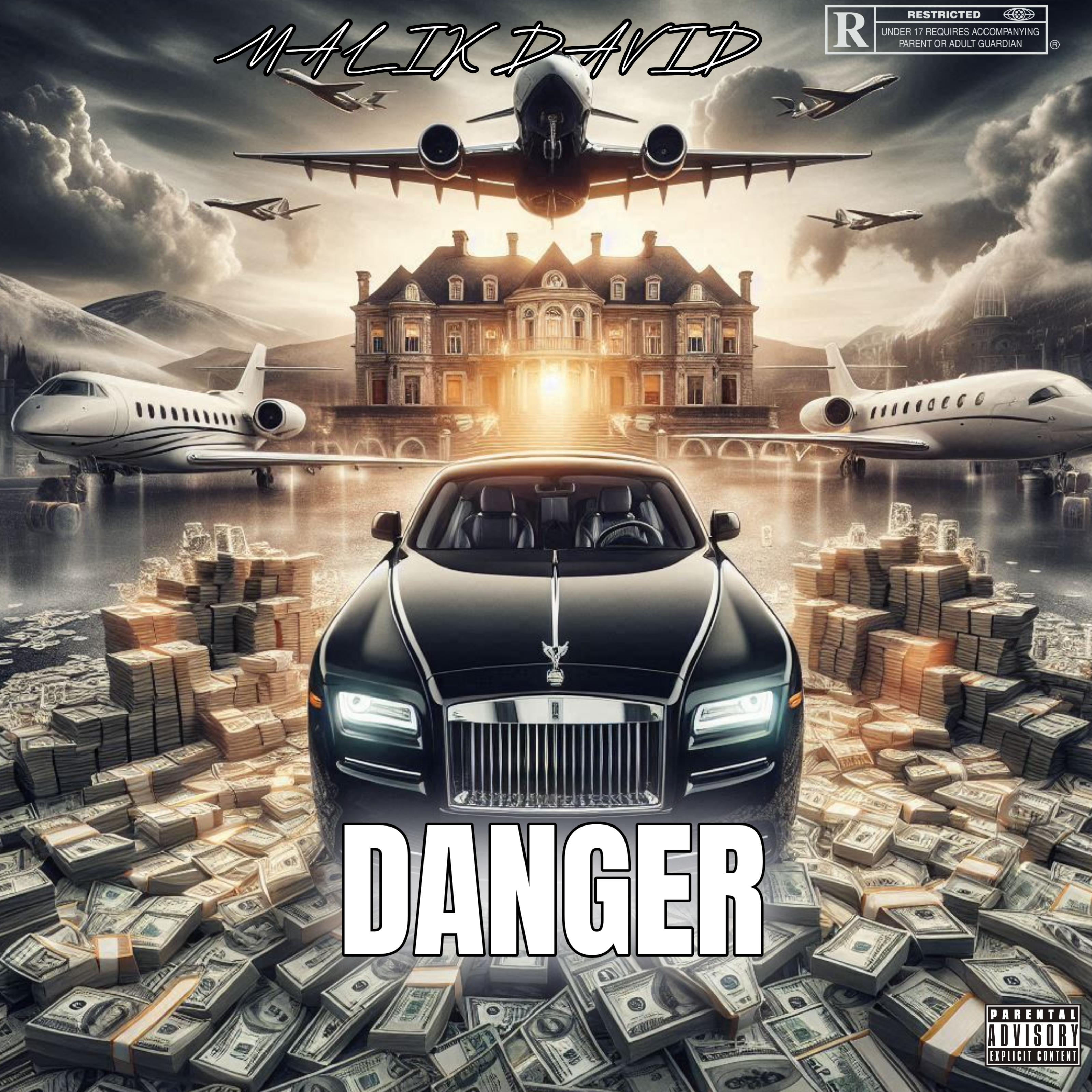 Danger by Malik David cover art