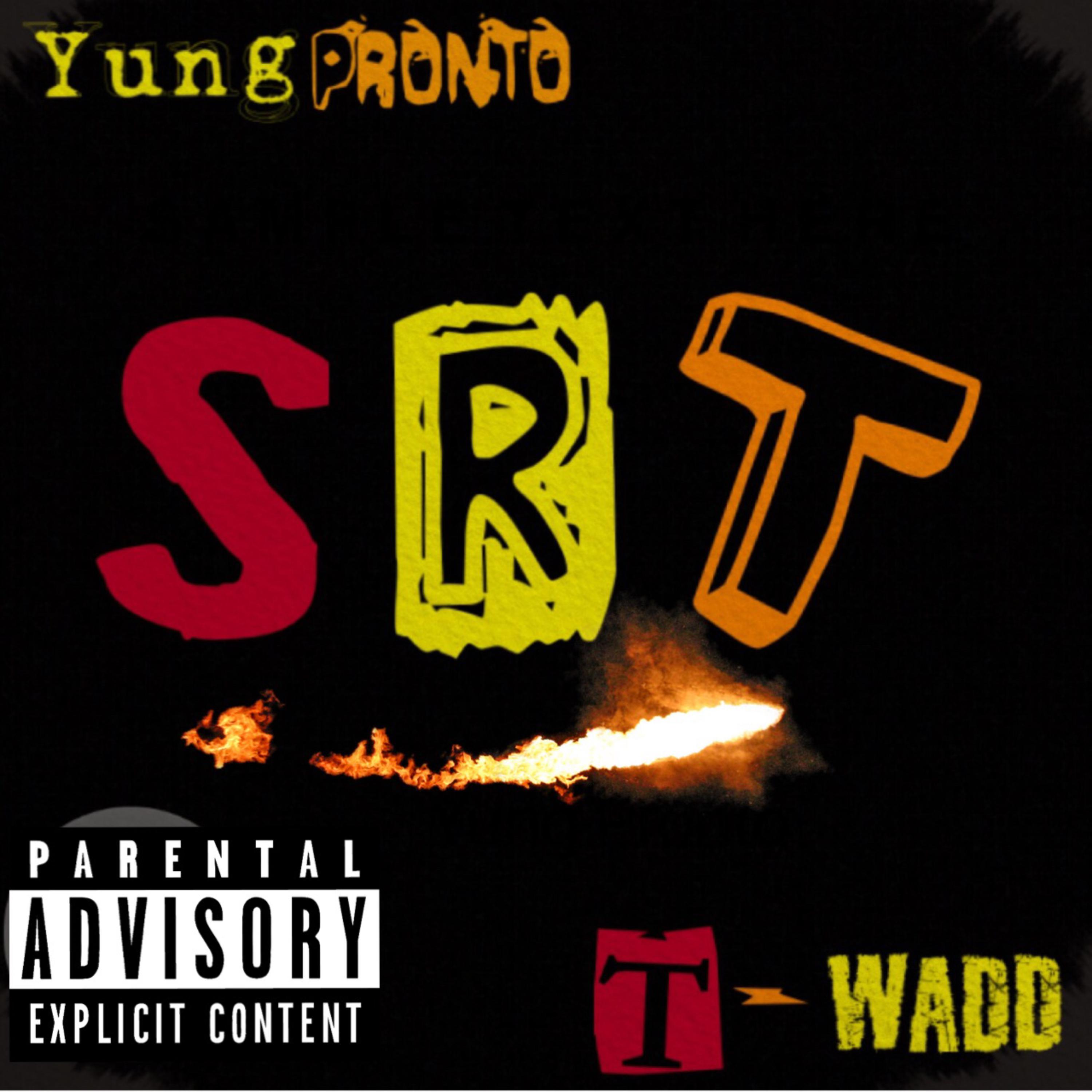 SRT artwork