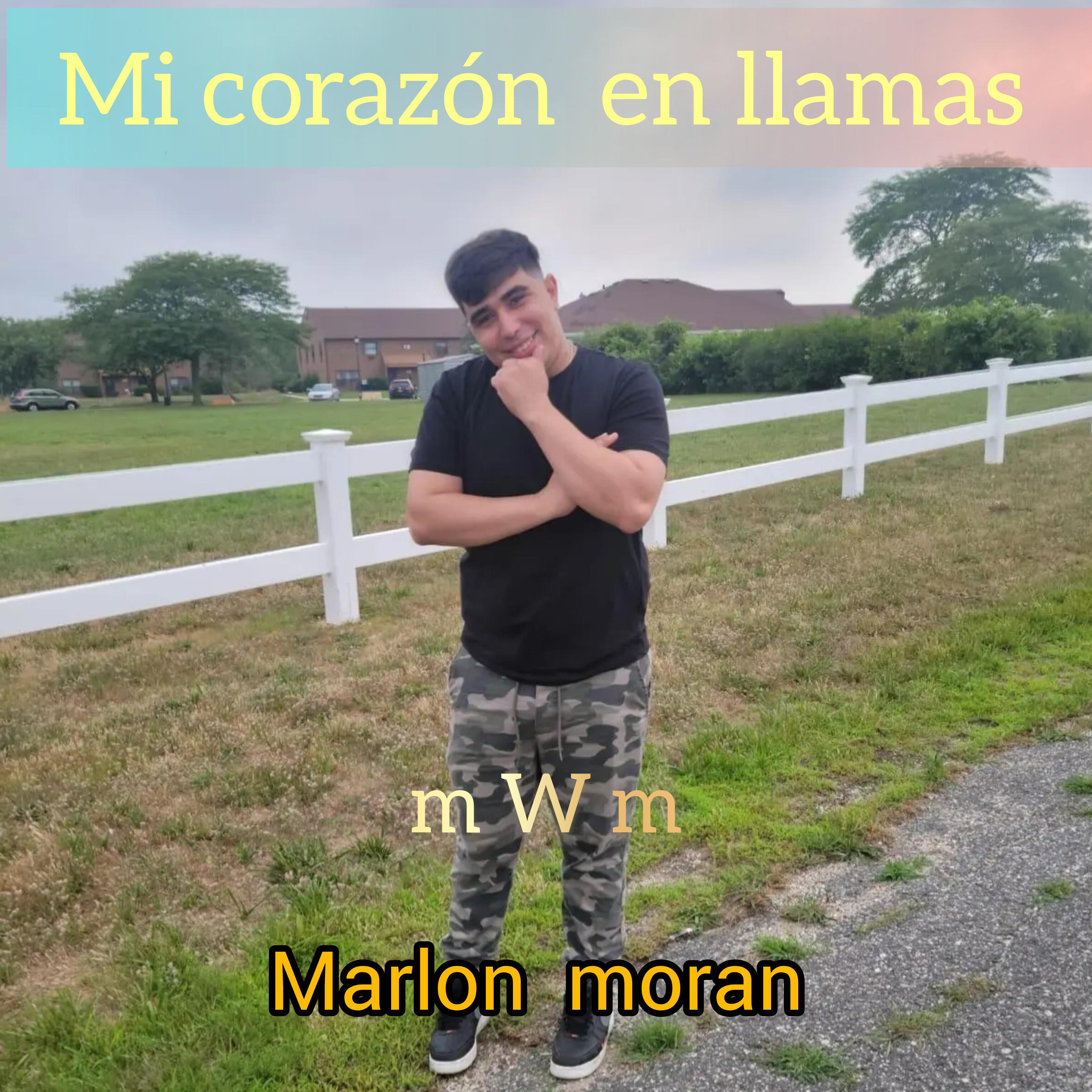 mi corazon en llamas artwork