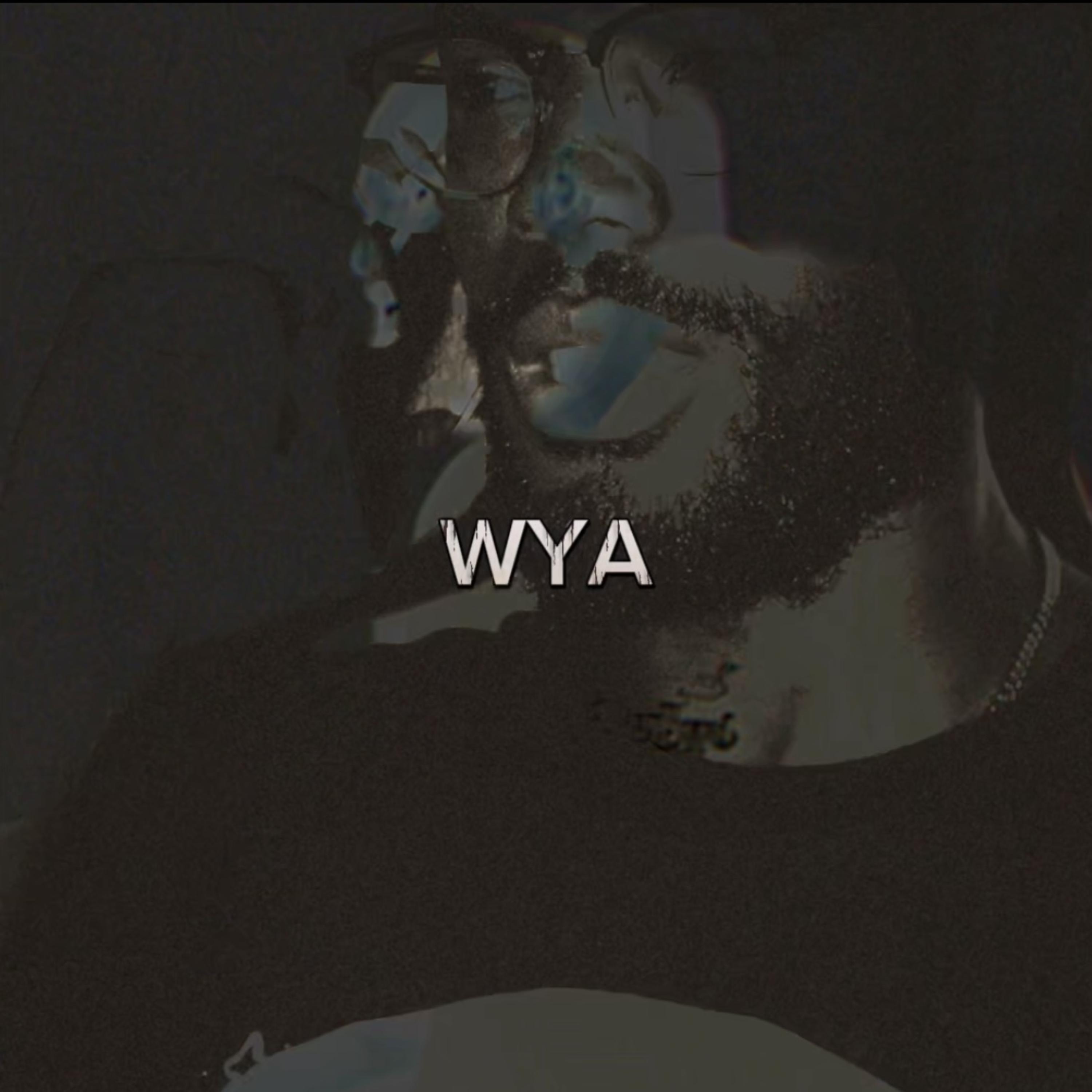 WYA by Jhicks cover art