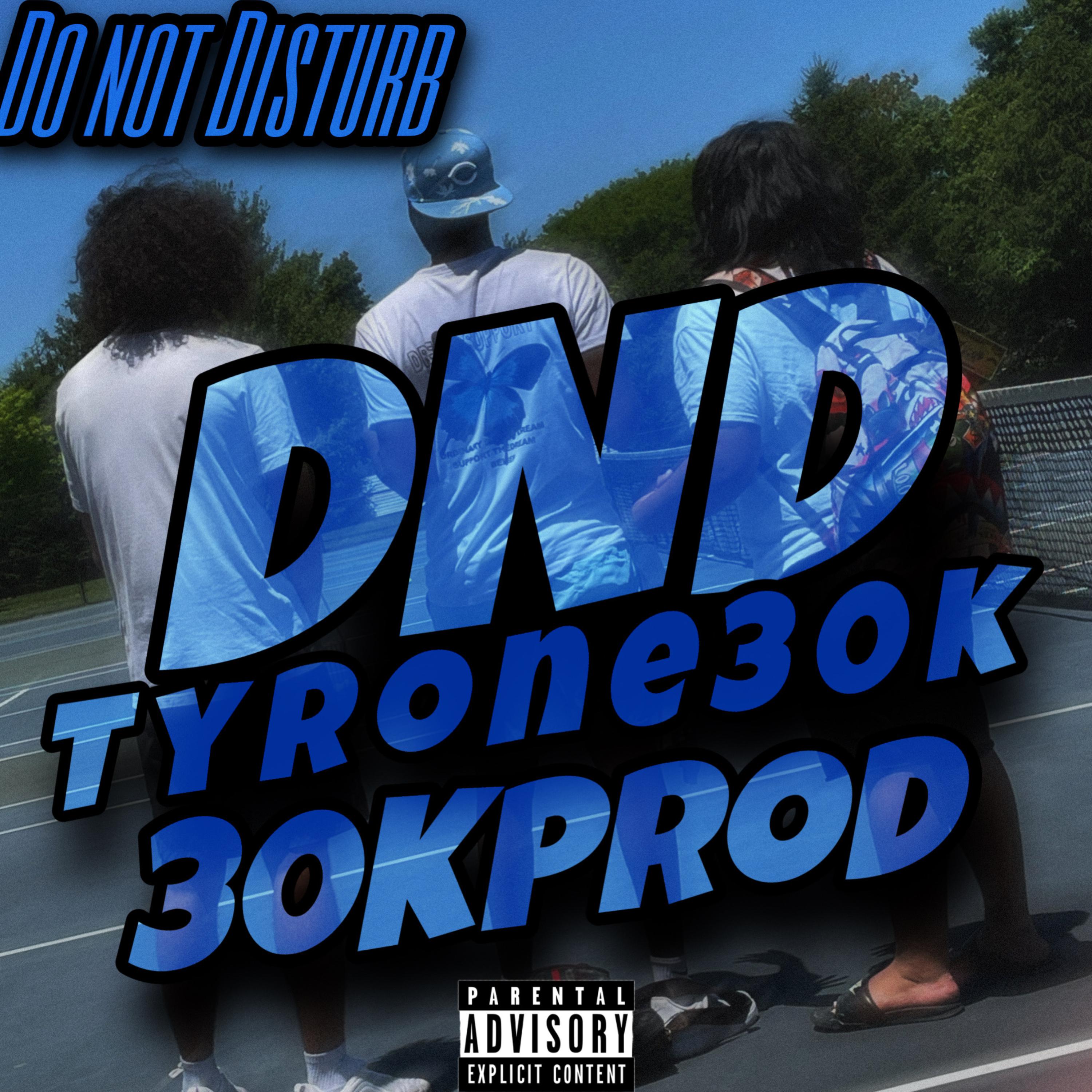 Do Not Disturb artwork
