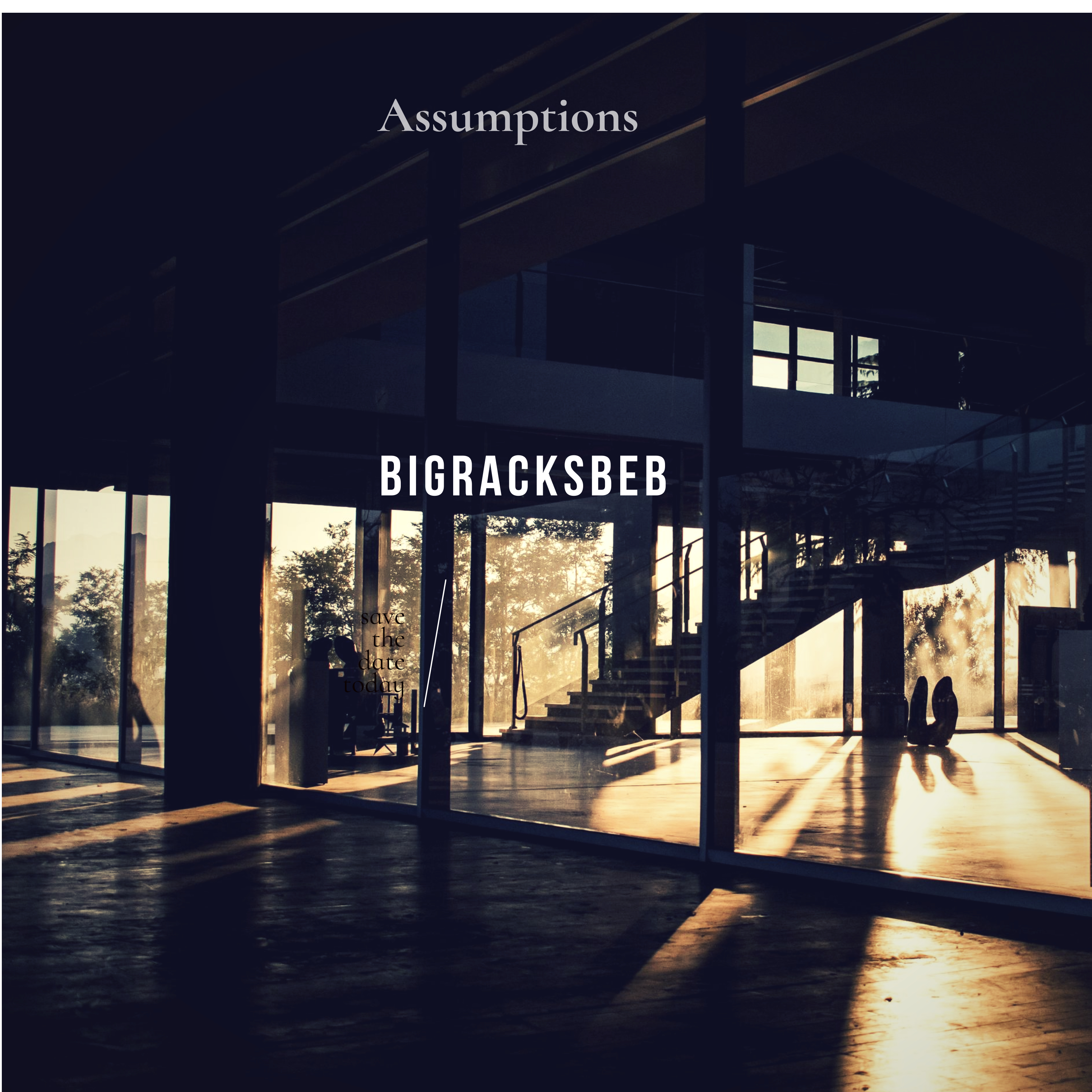 Assumptions artwork