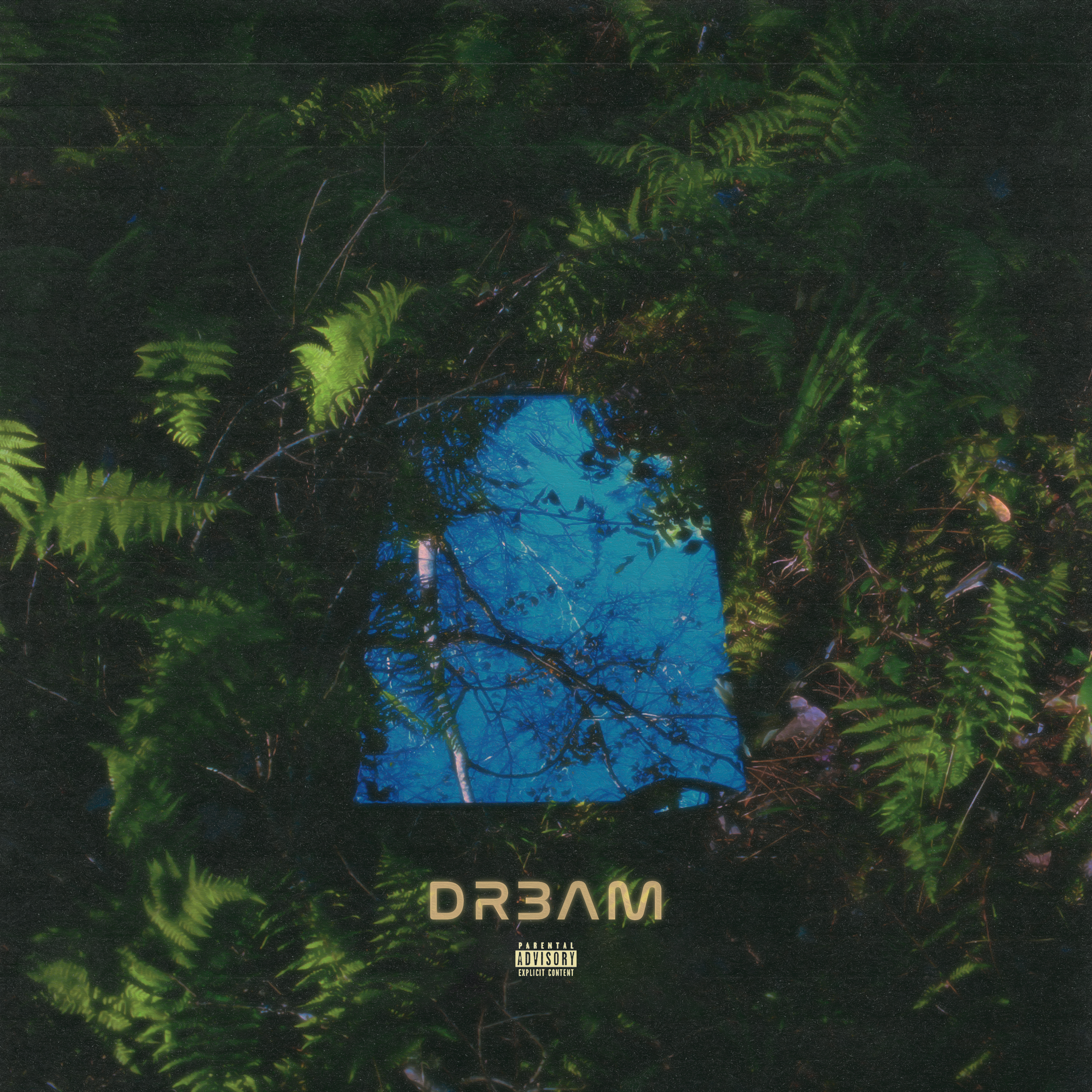 DR3AM artwork
