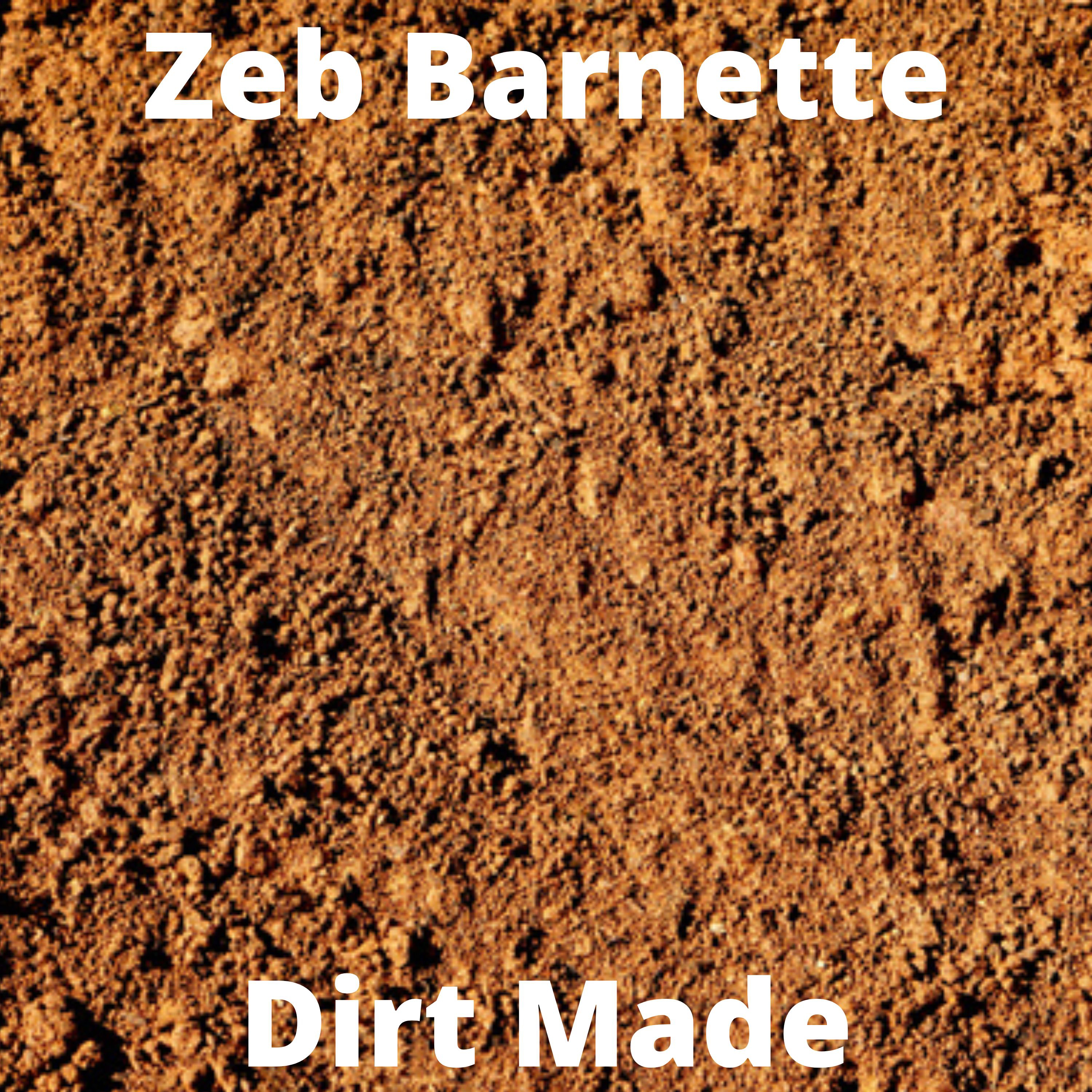 Dirt Made artwork