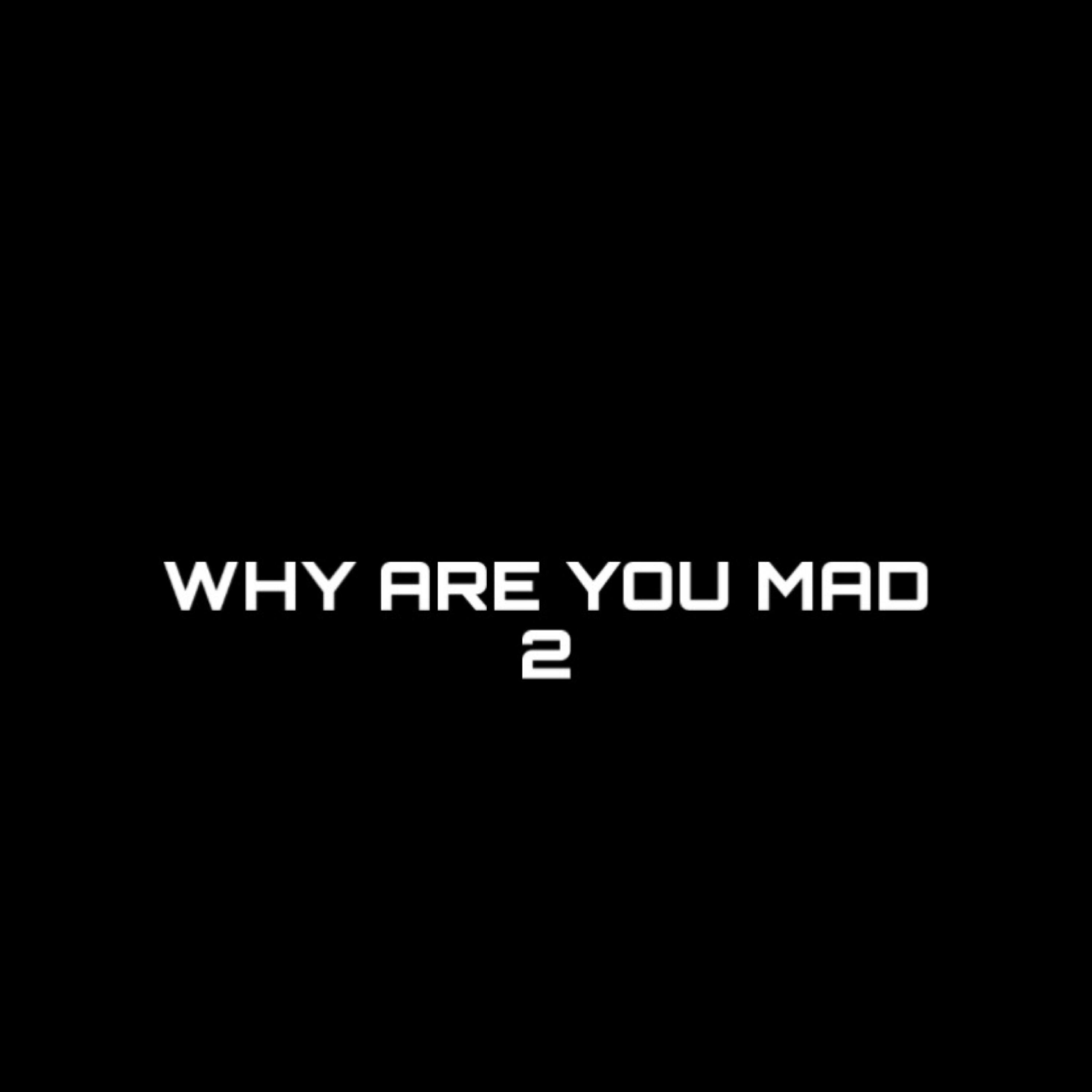 WHY ARE YOU MAD 2 artwork