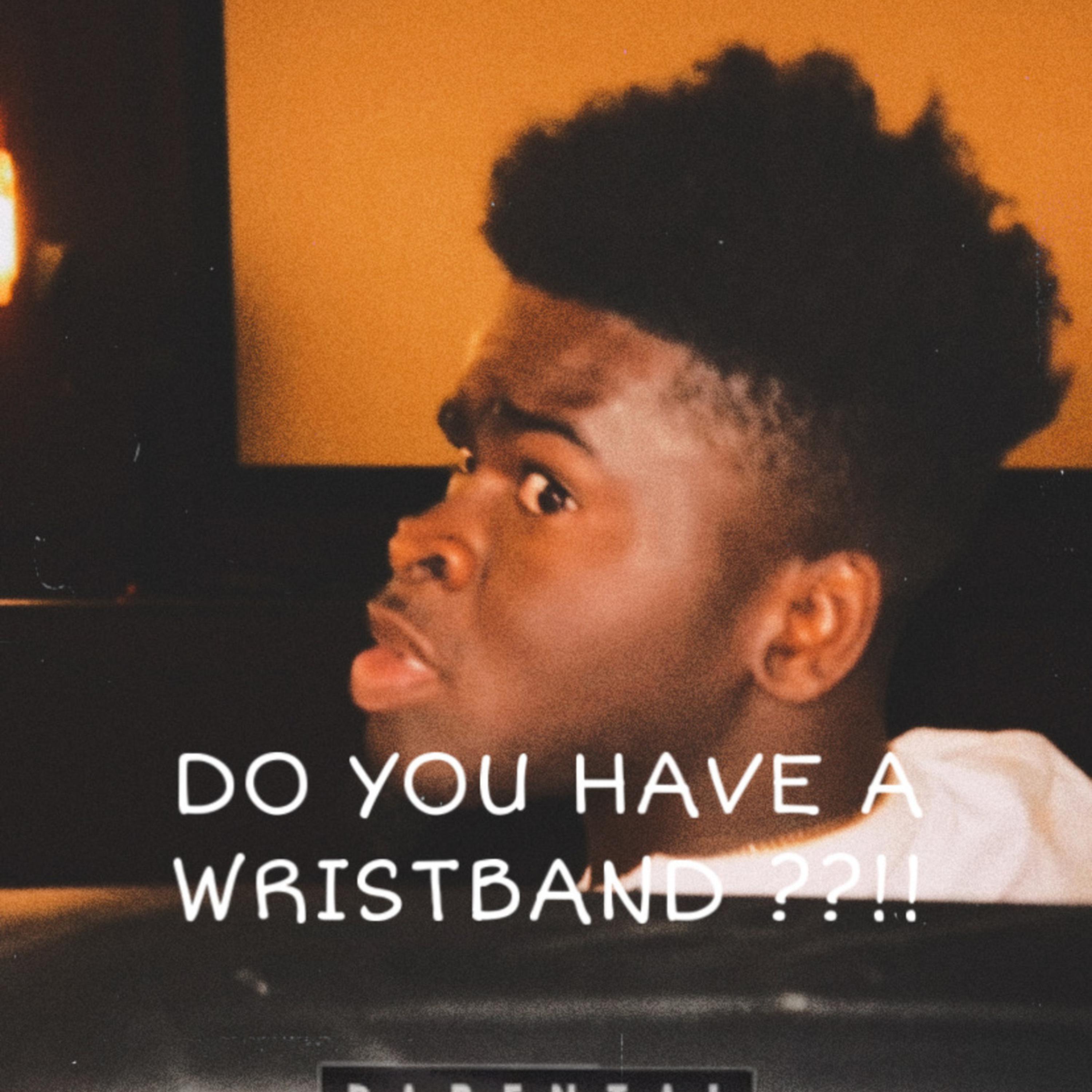 Do You Have A Wrist Band?! artwork