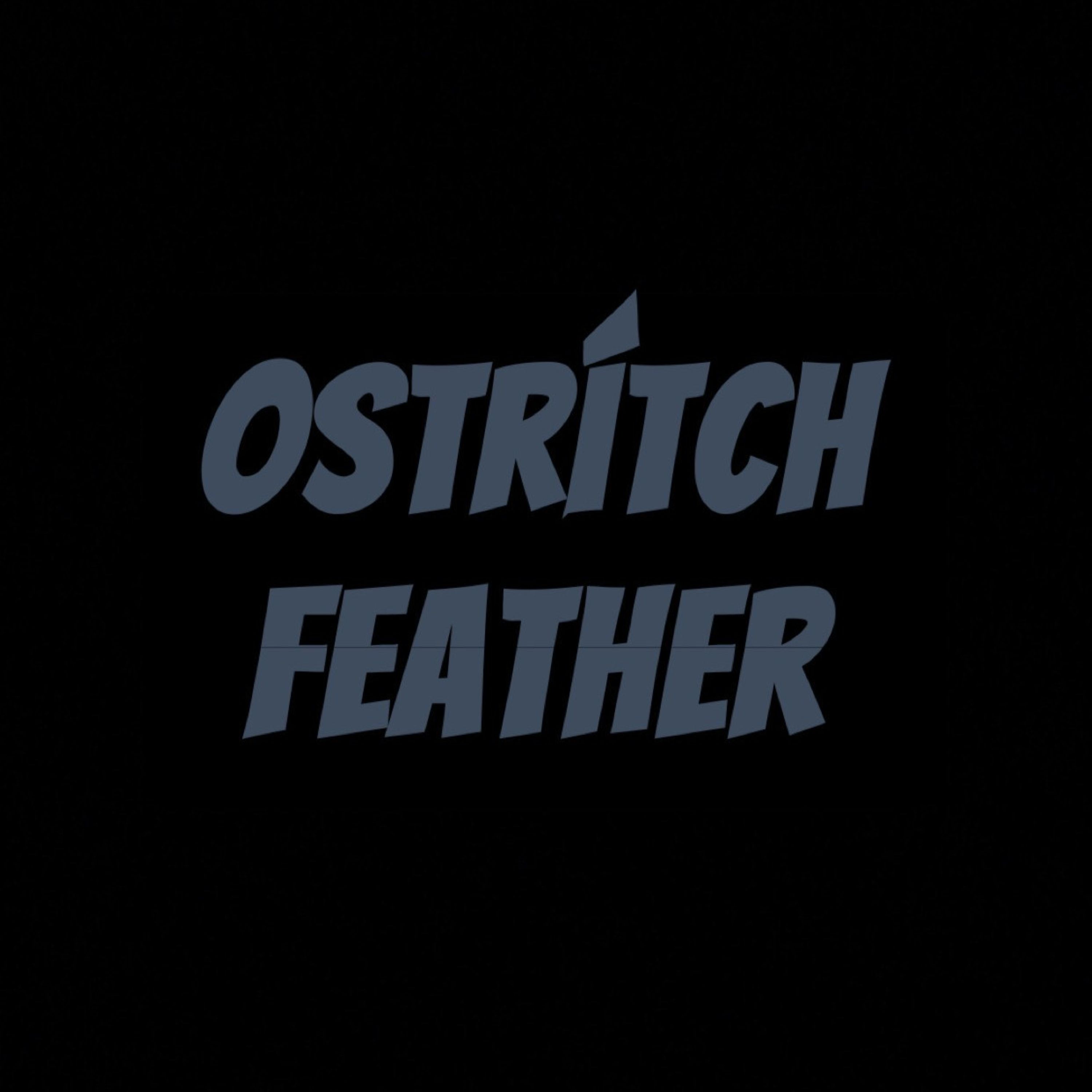 Ostrich Feather artwork
