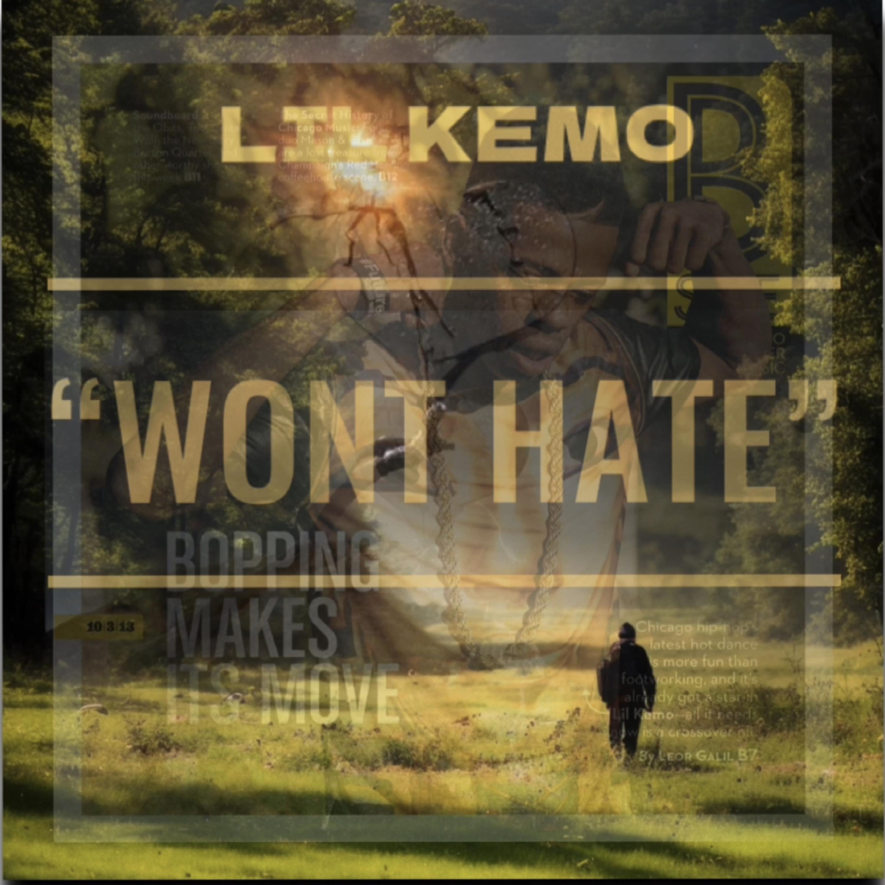 Won't Hate artwork