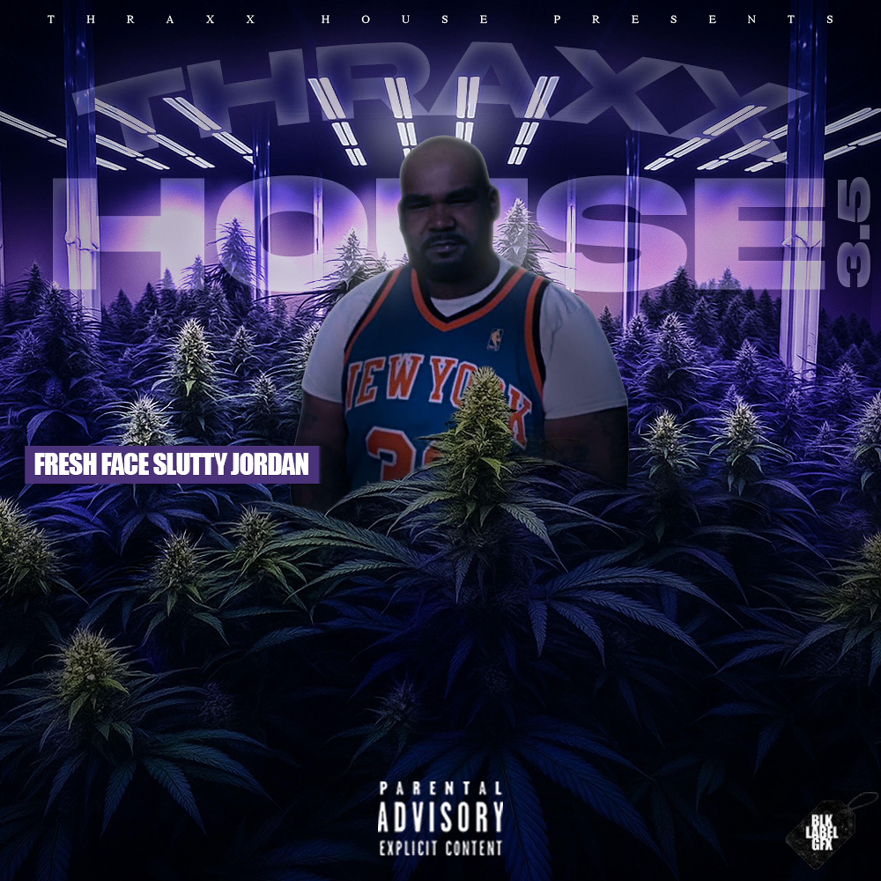 Thraxx House 3.5 artwork